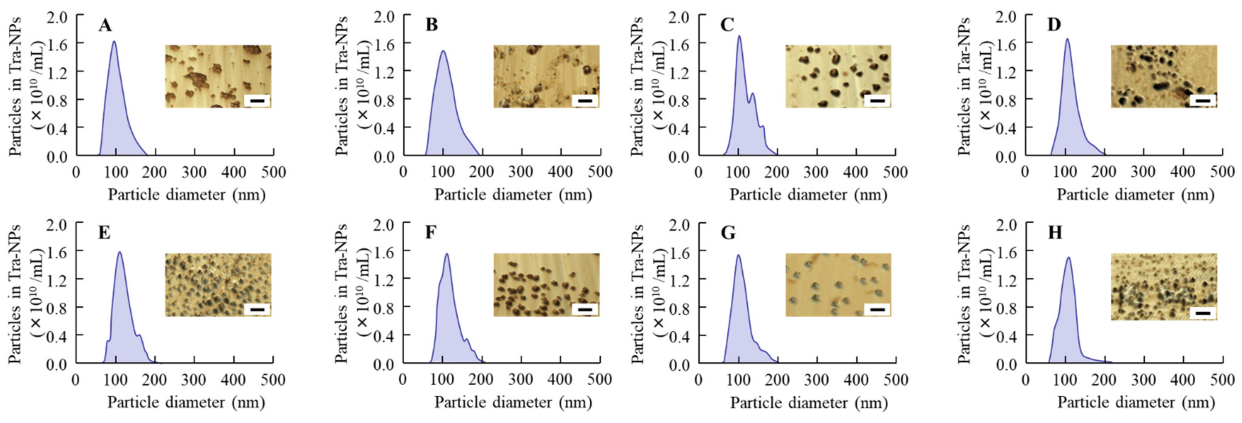 Pharmaceutics 13 01425 g002
