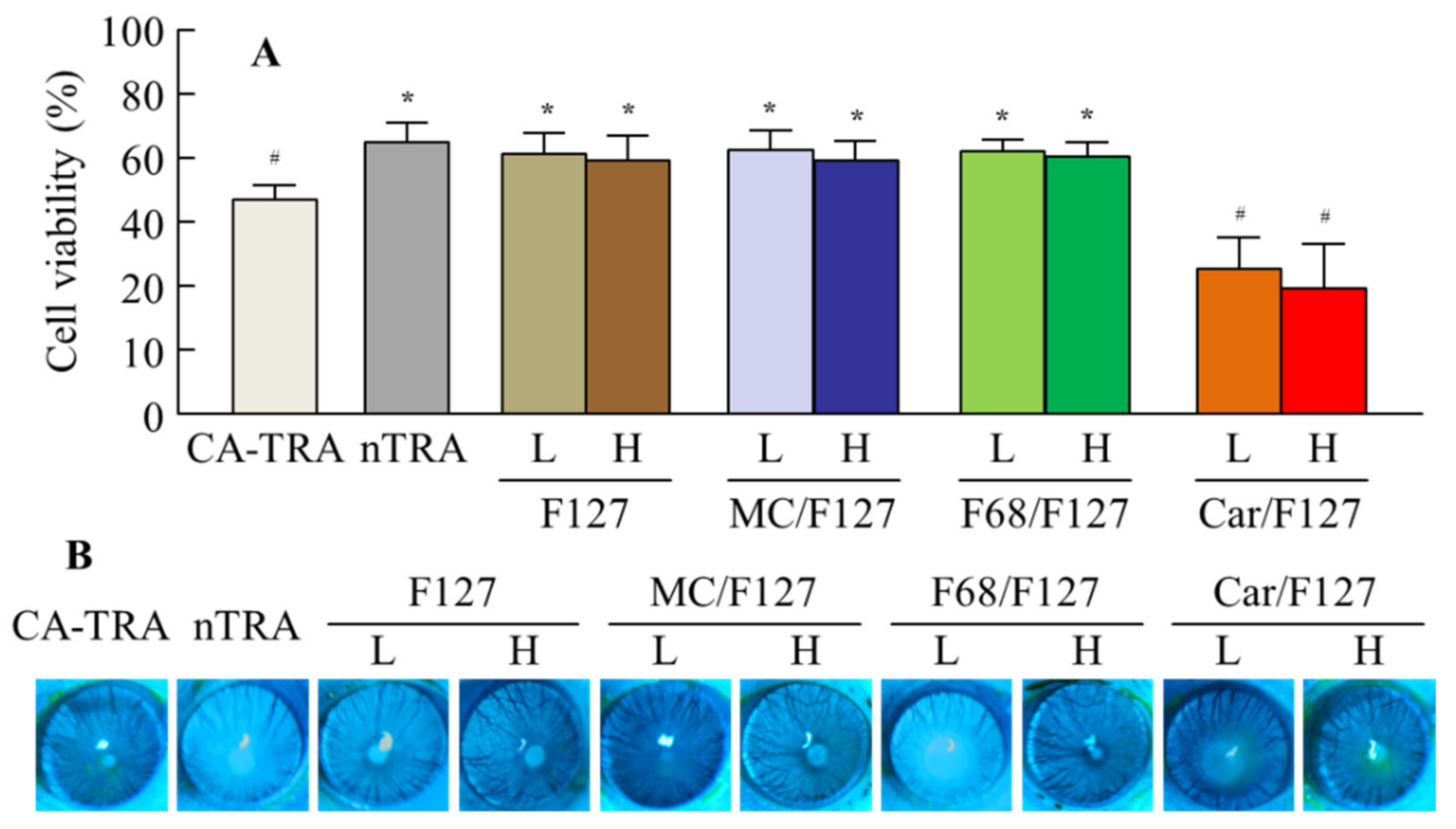 Pharmaceutics 13 01425 g004