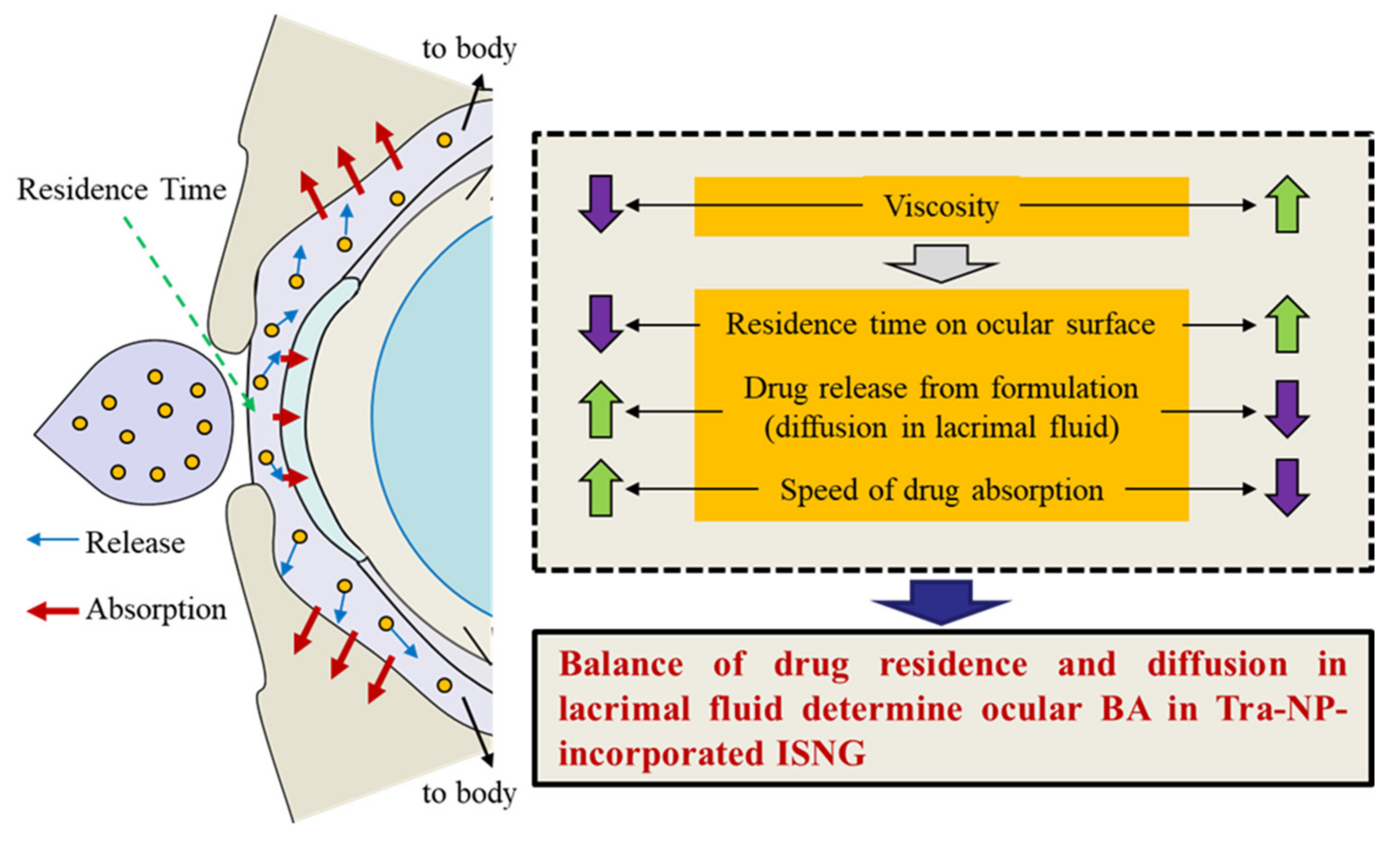 Pharmaceutics 13 01425 g009