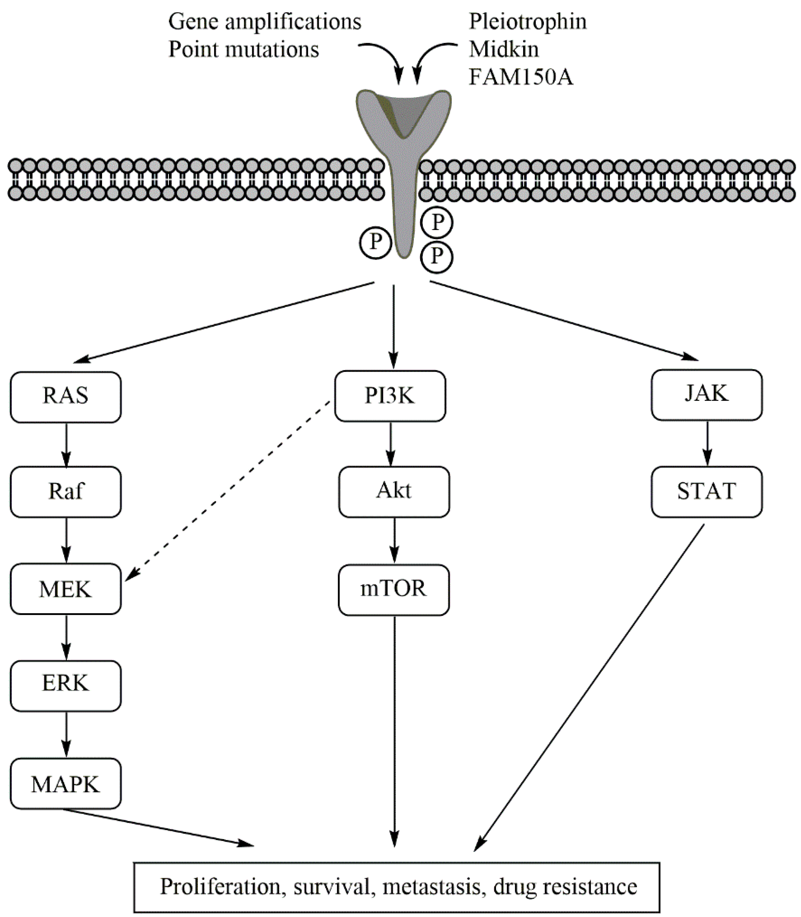 Pharmaceutics 13 01427 g002