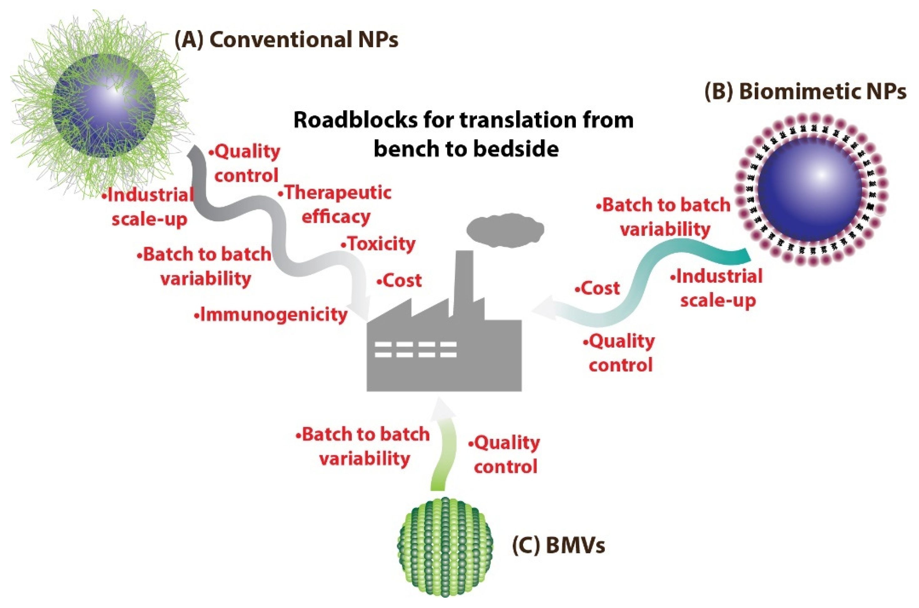Pharmaceutics 13 01430 g001