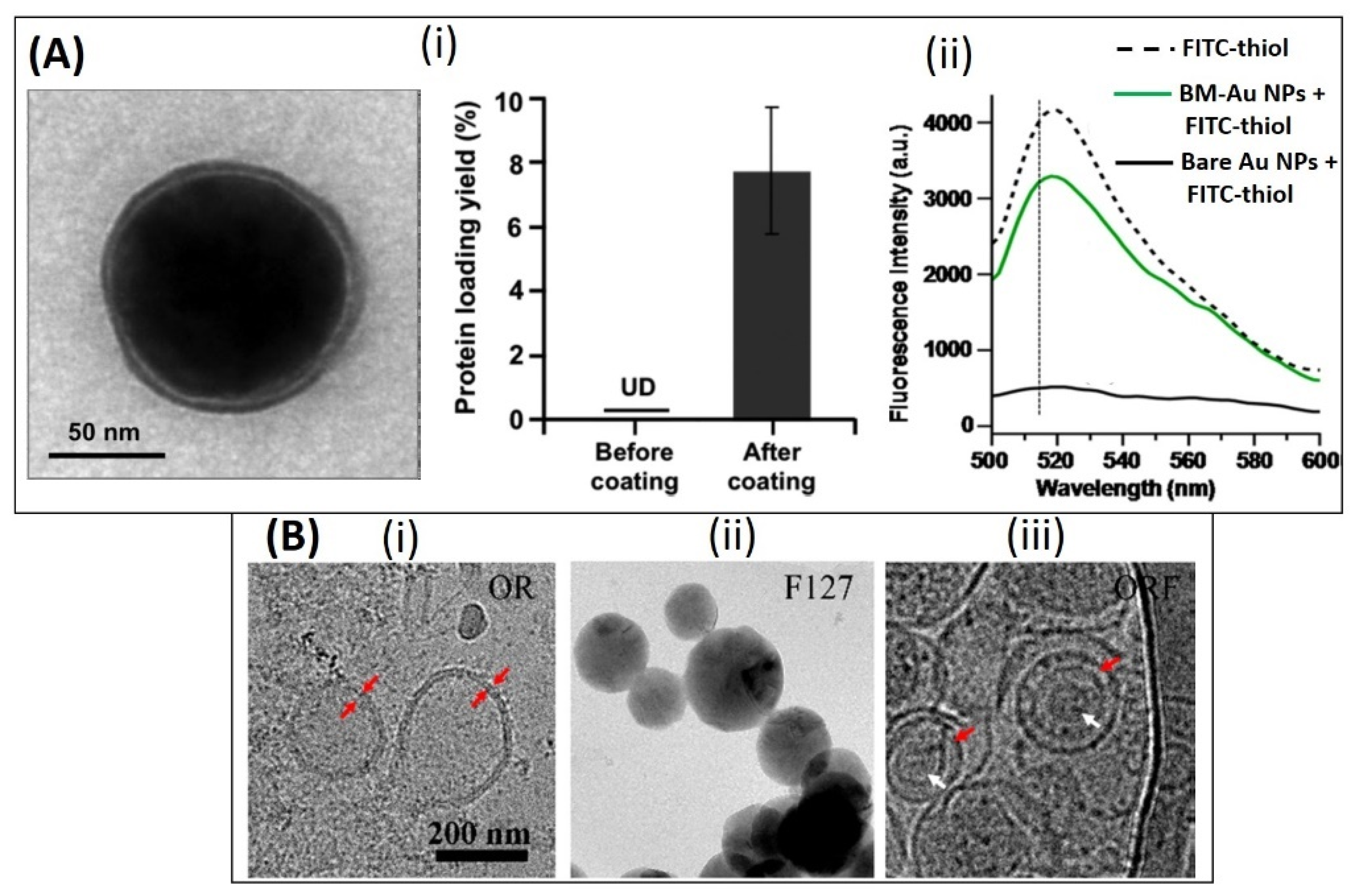 Pharmaceutics 13 01430 g008
