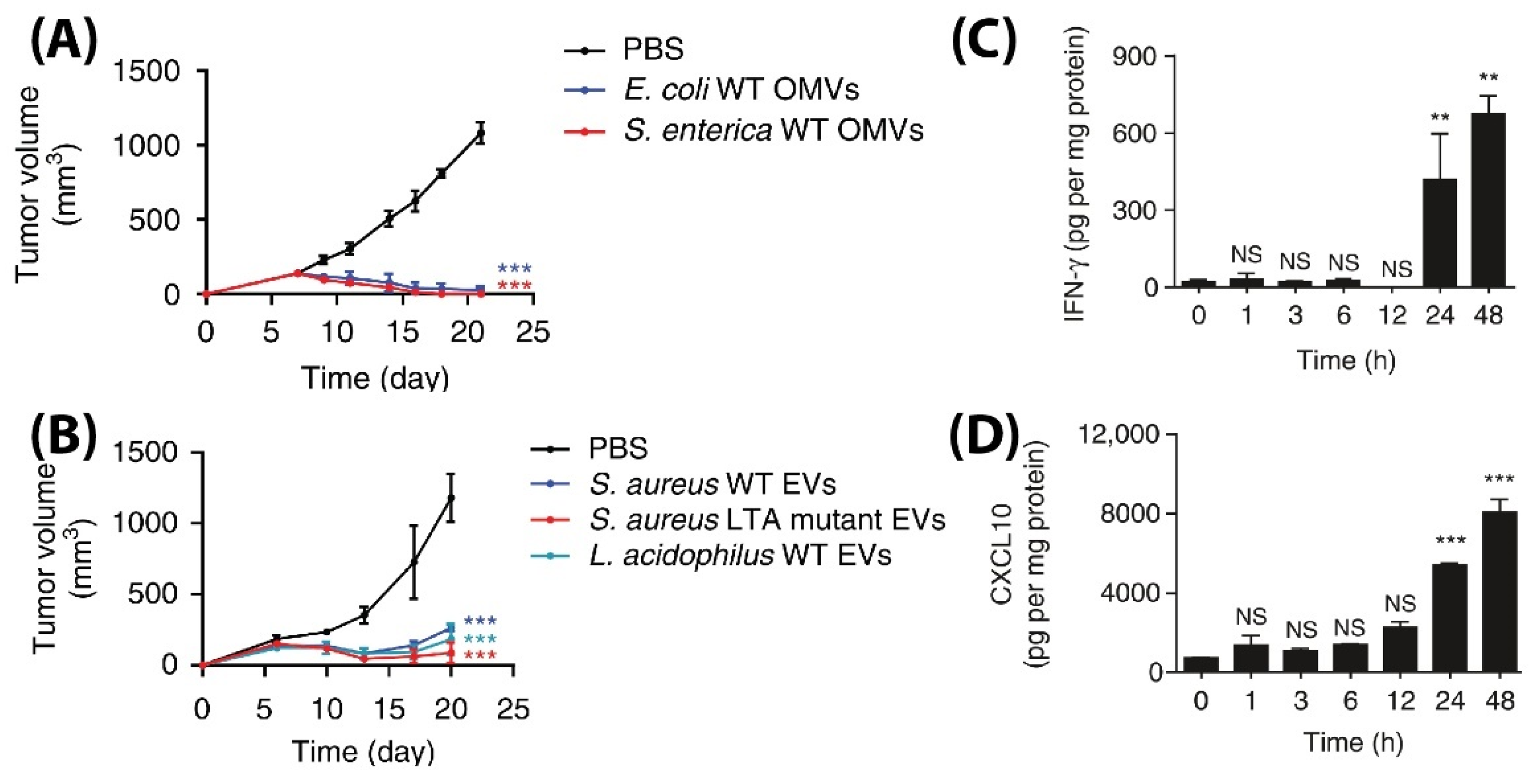 Pharmaceutics 13 01430 g013