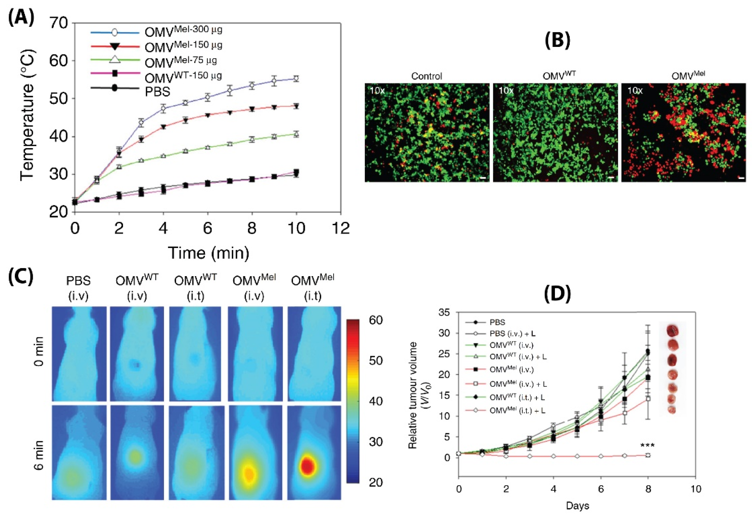 Pharmaceutics 13 01430 g014