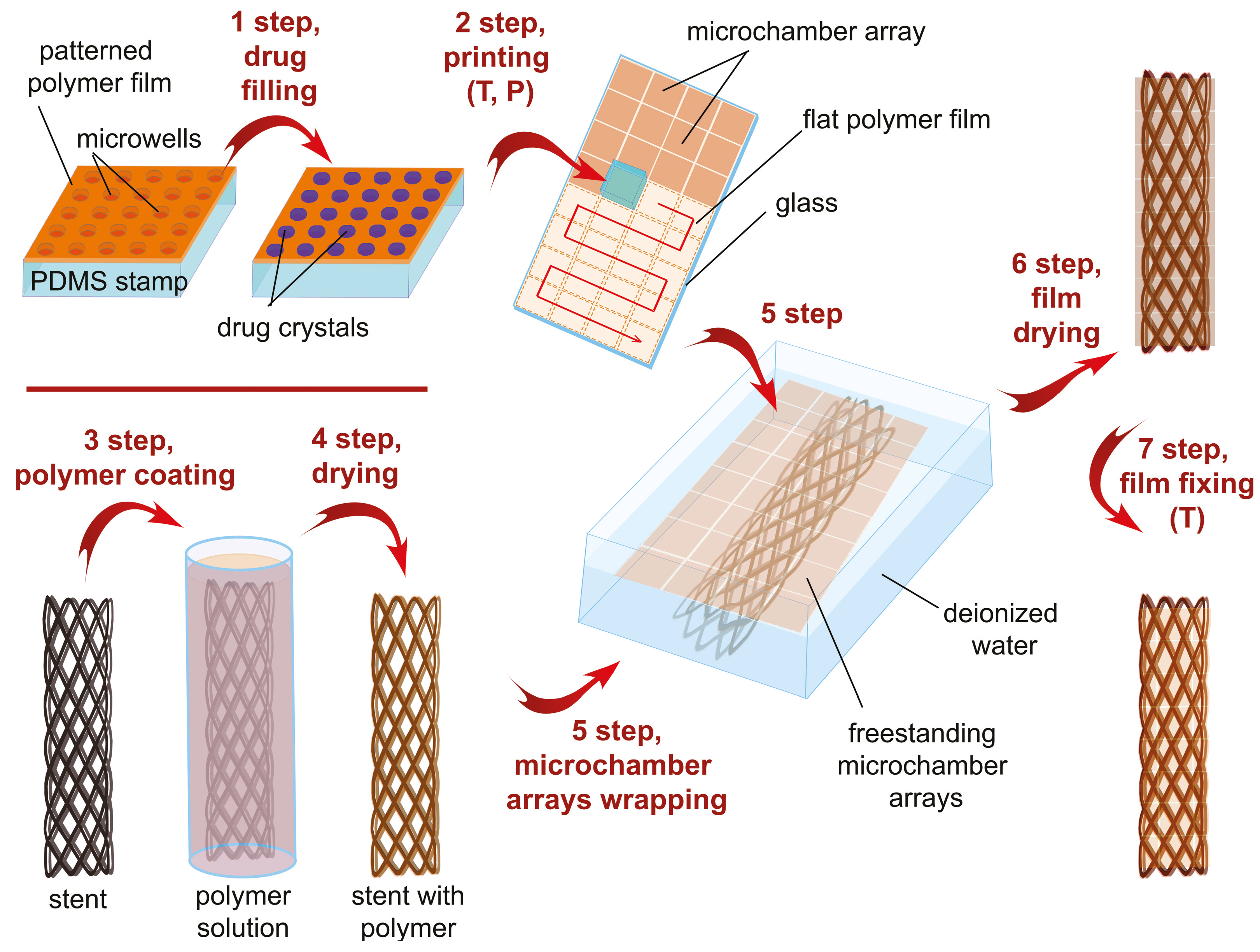 Pharmaceutics 13 01437 g001