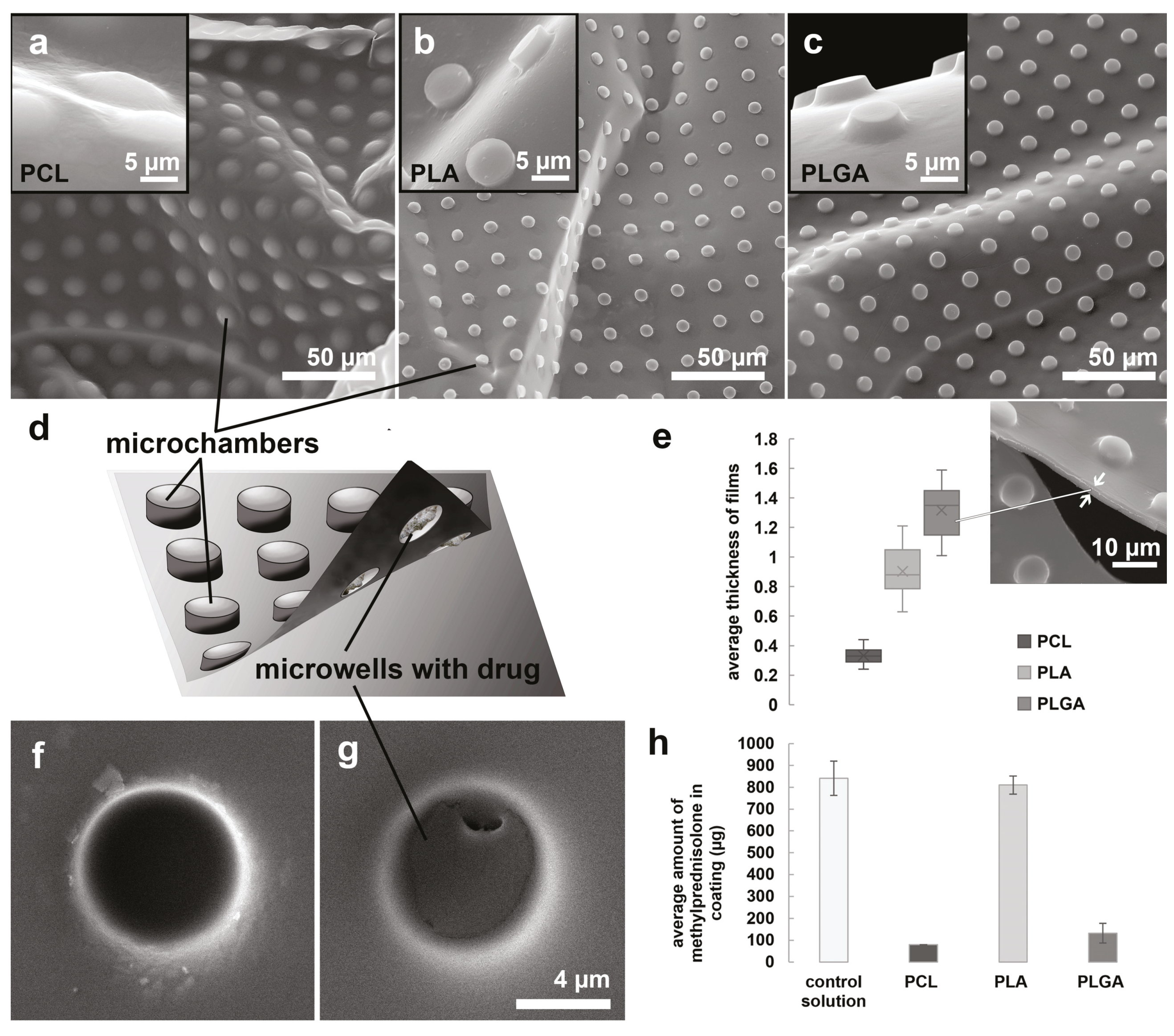 Pharmaceutics 13 01437 g002