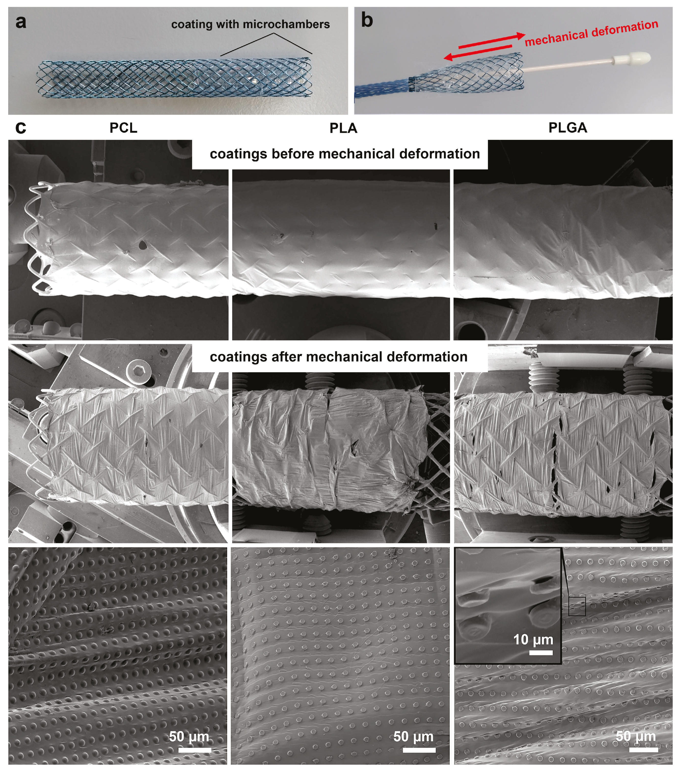 Pharmaceutics 13 01437 g003