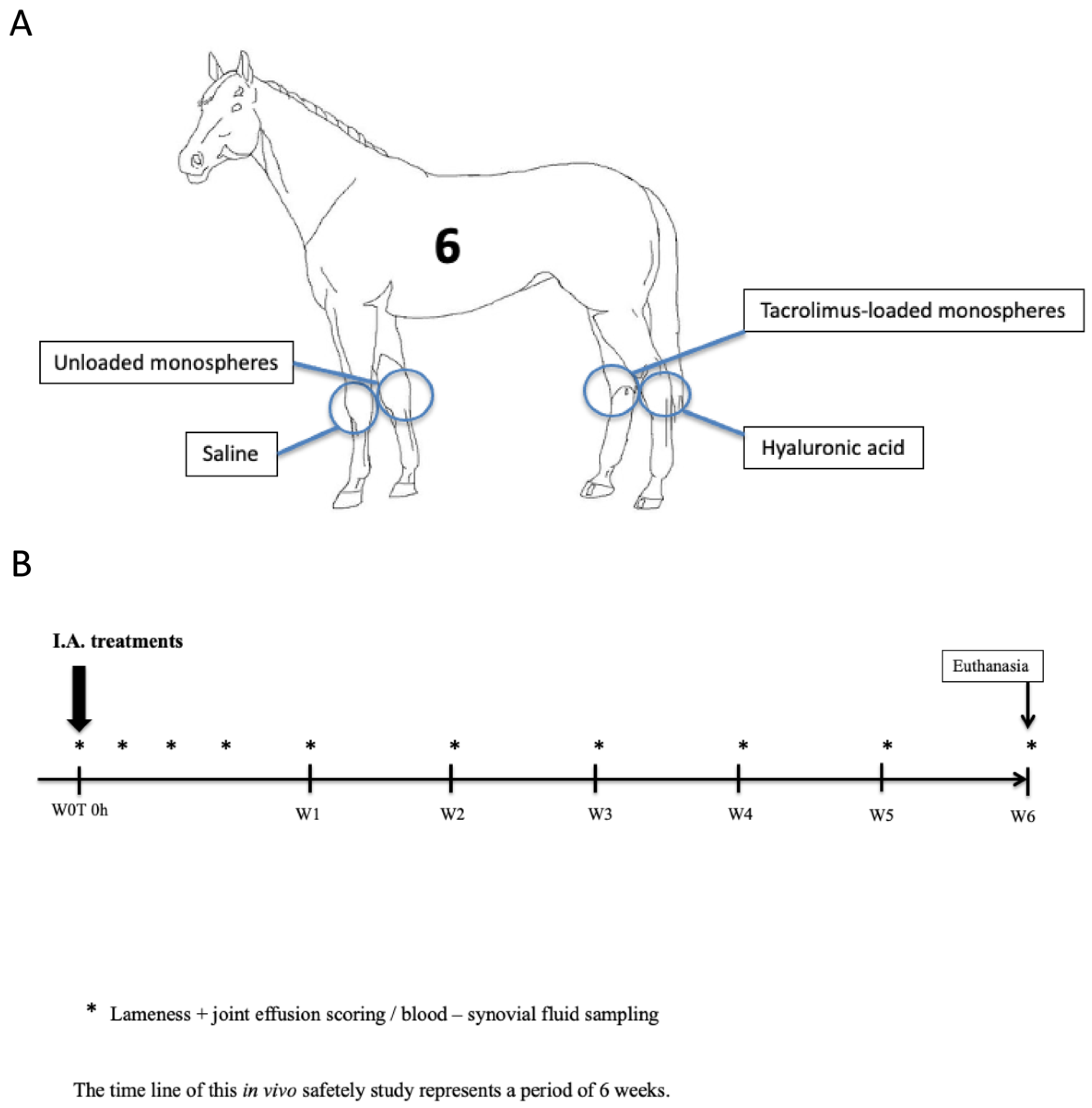Pharmaceutics 13 01438 g001