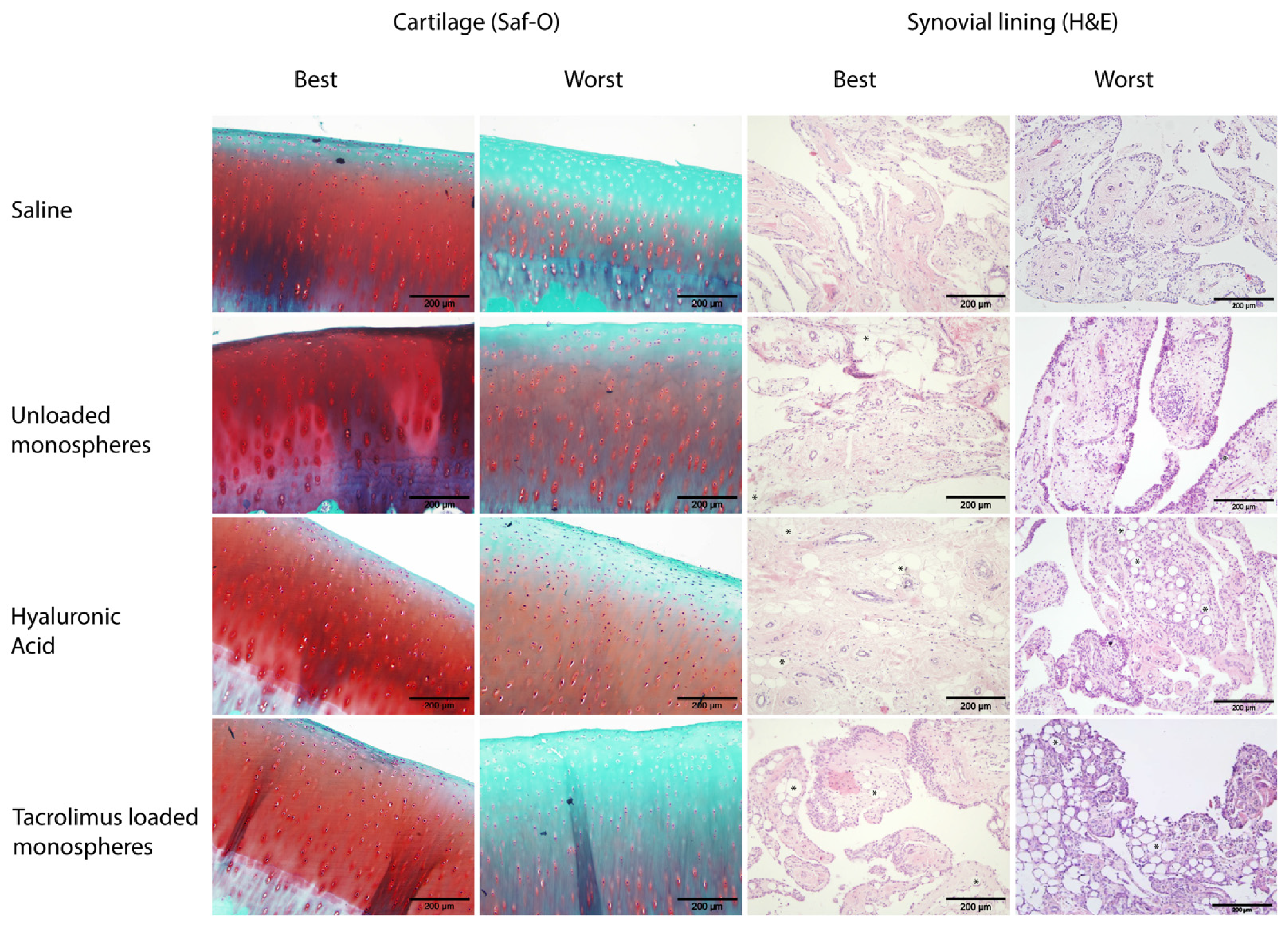 Pharmaceutics 13 01438 g005