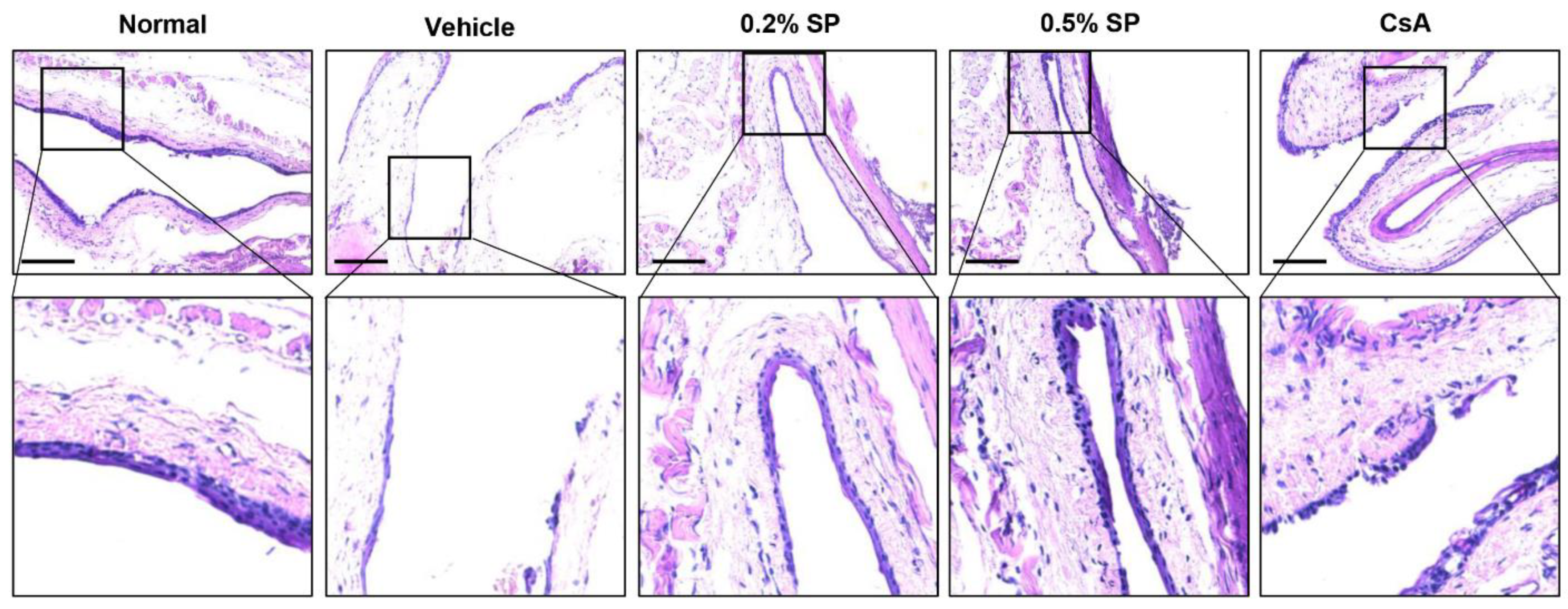Pharmaceutics 13 01439 g003