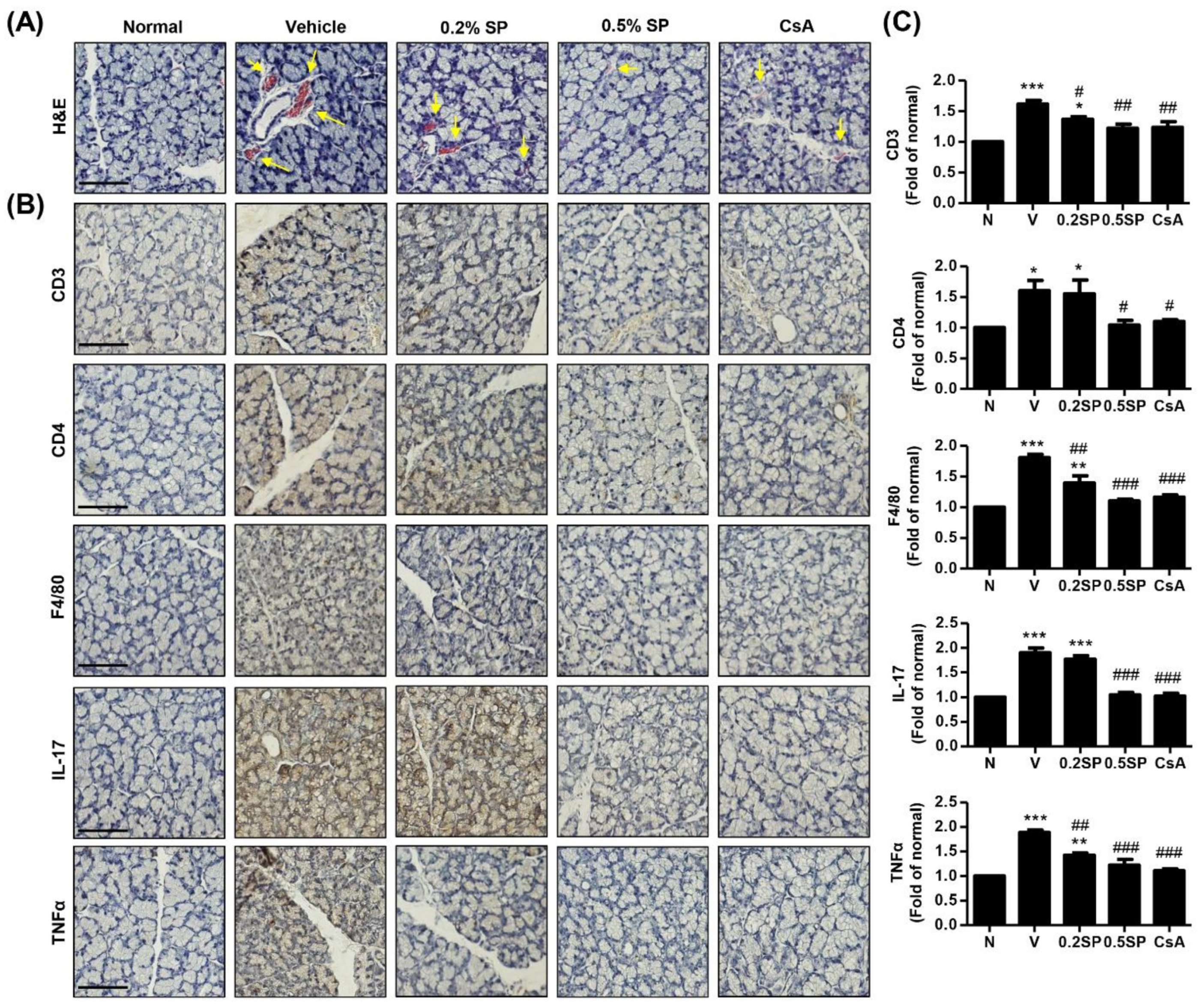Pharmaceutics 13 01439 g004