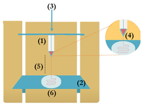 Pharmaceutics 13 01444 i001
