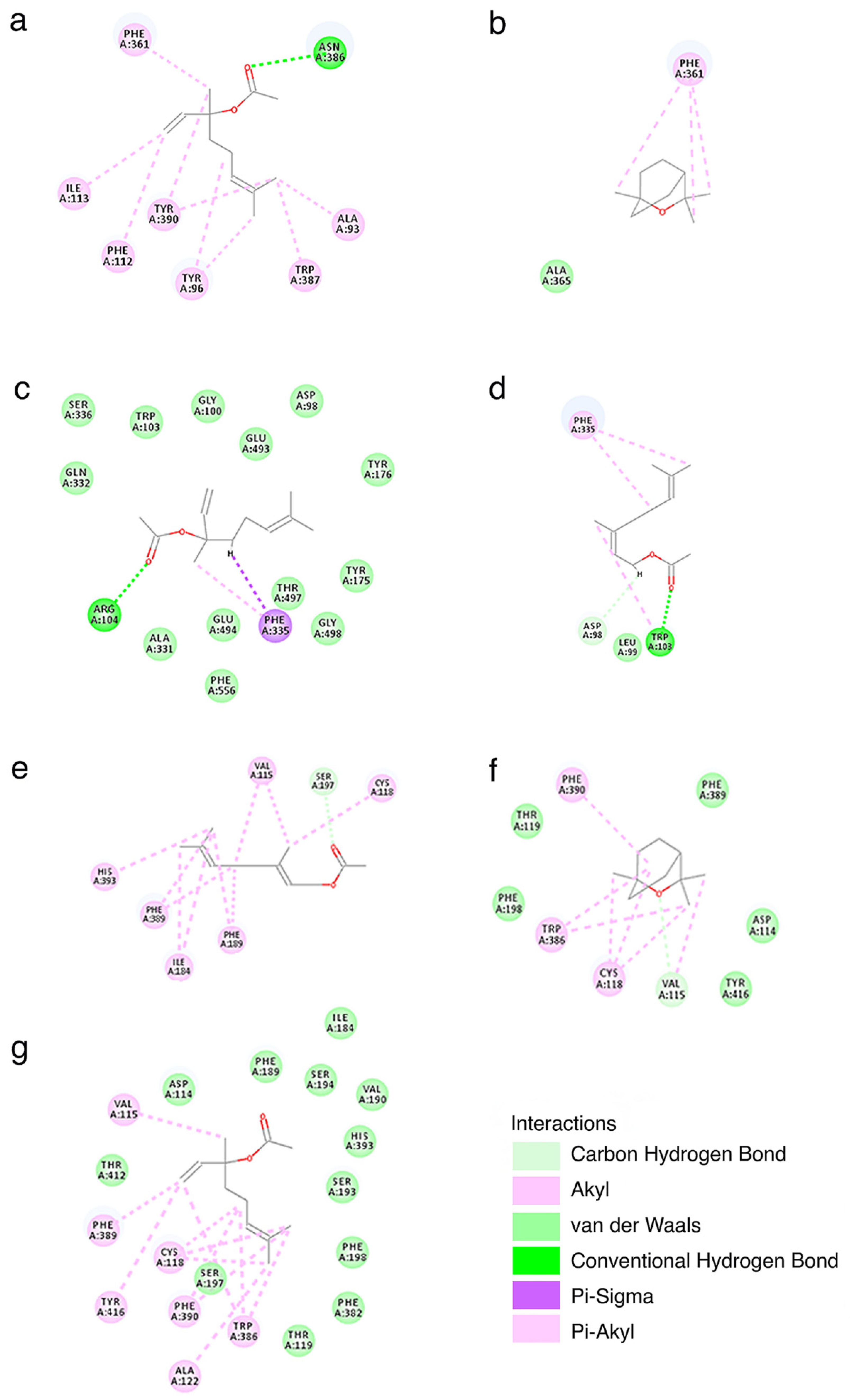 Pharmaceutics 13 01449 g002