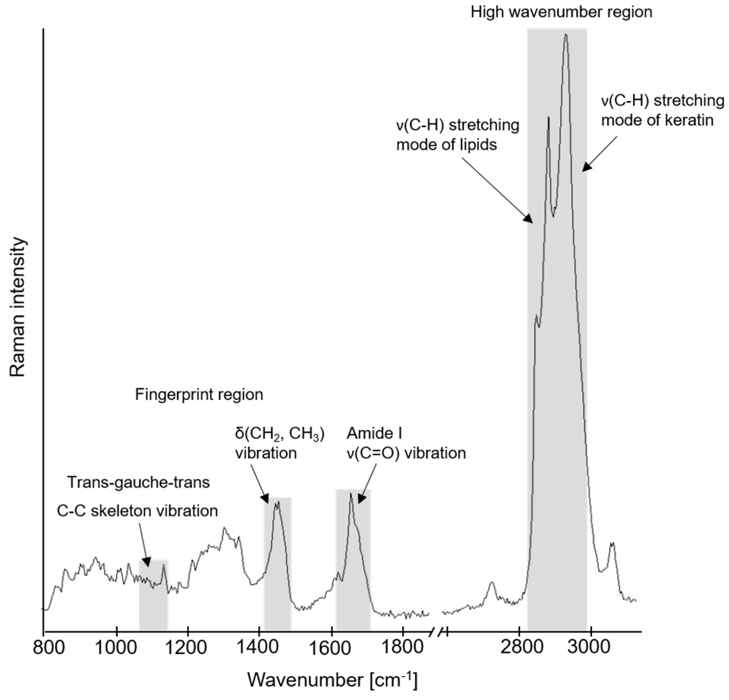 Pharmaceutics 13 01451 g001