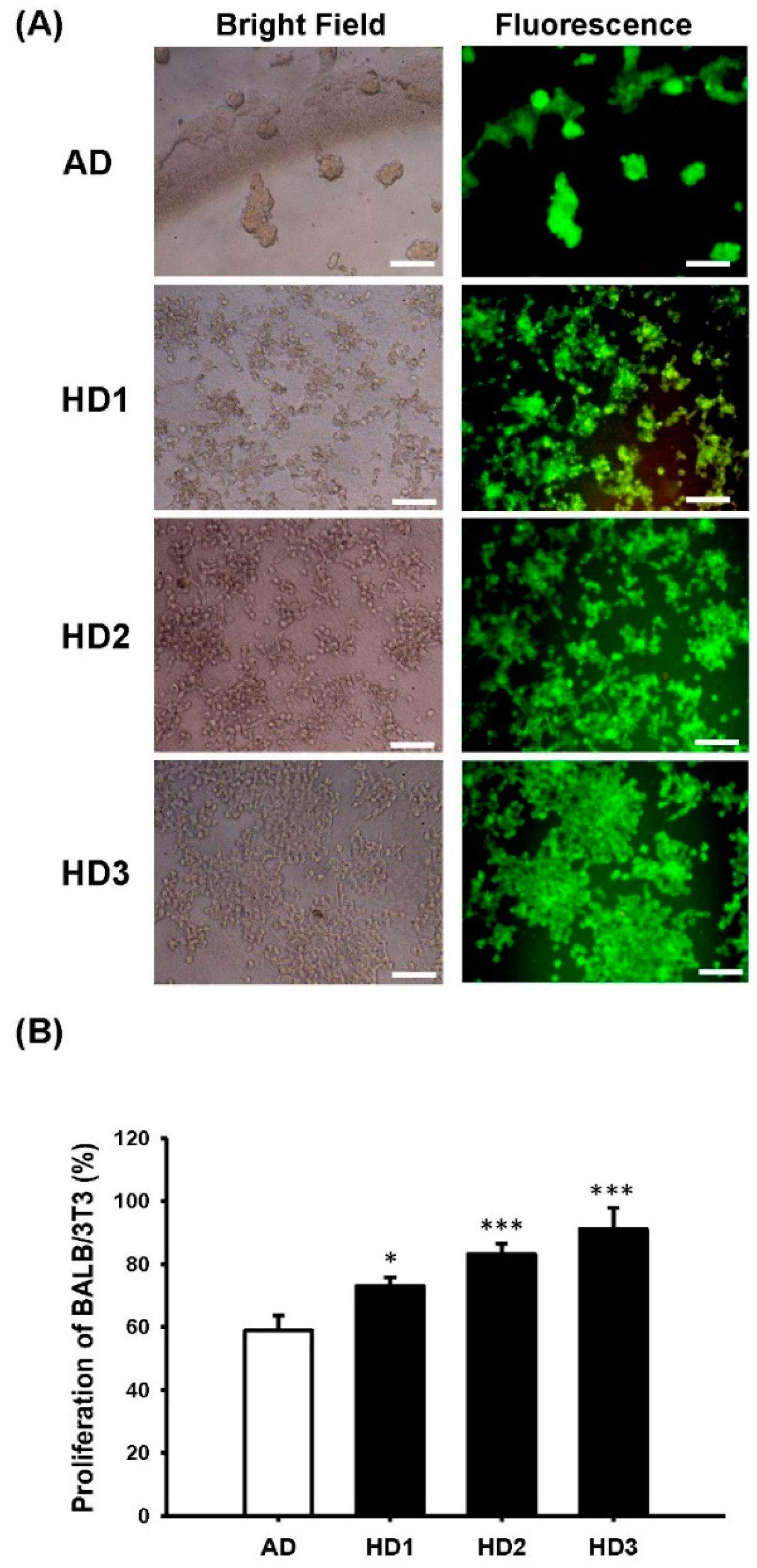 Pharmaceutics 13 01459 g003