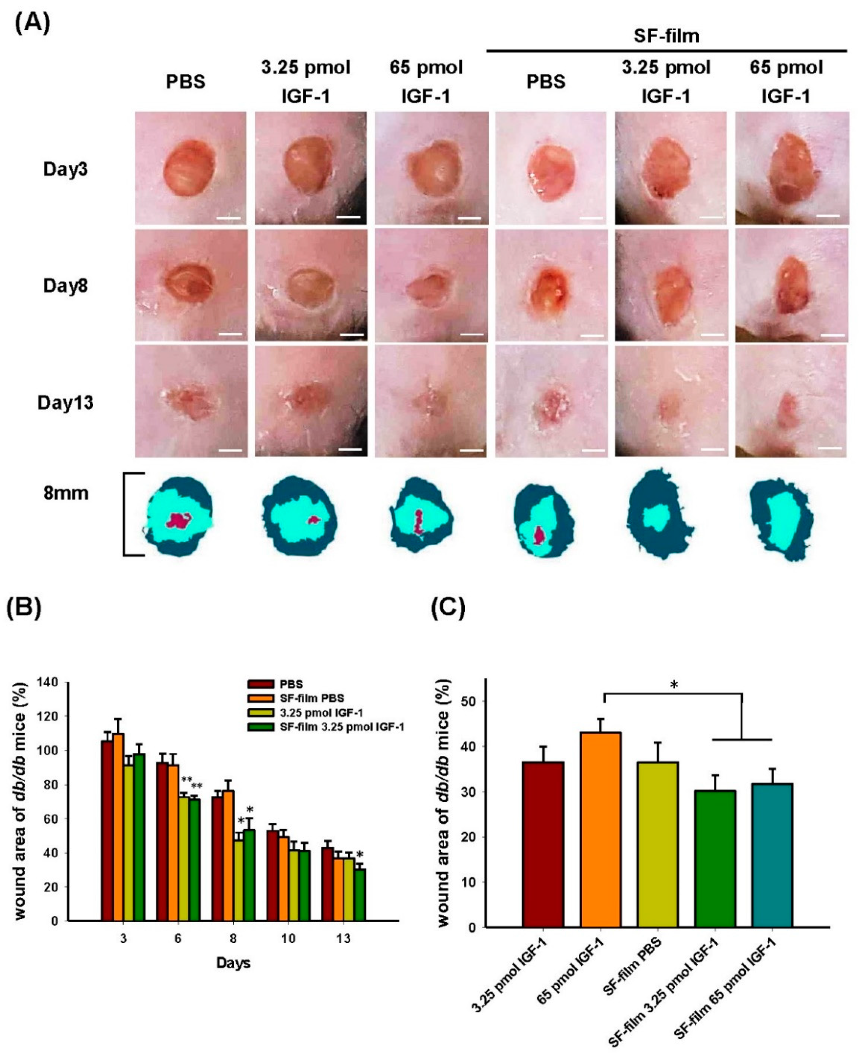 Pharmaceutics 13 01459 g007