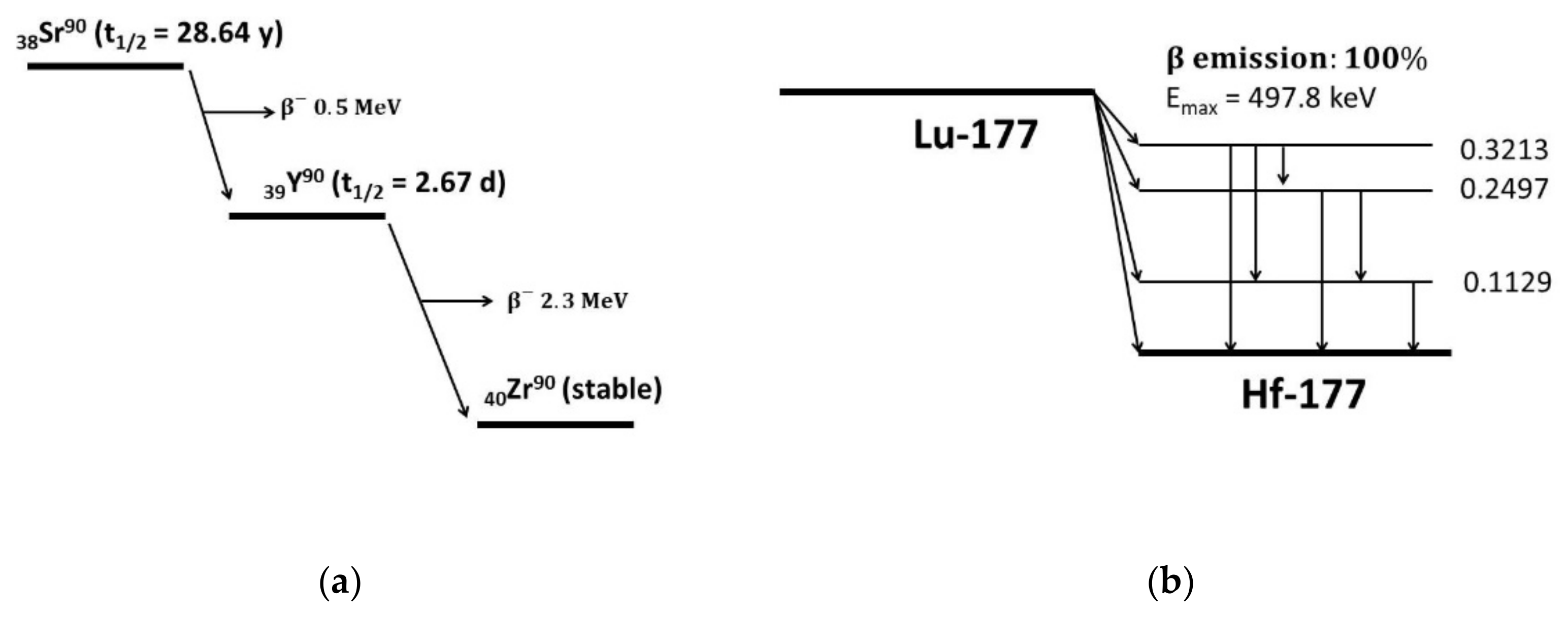 Pharmaceutics 13 01463 g003