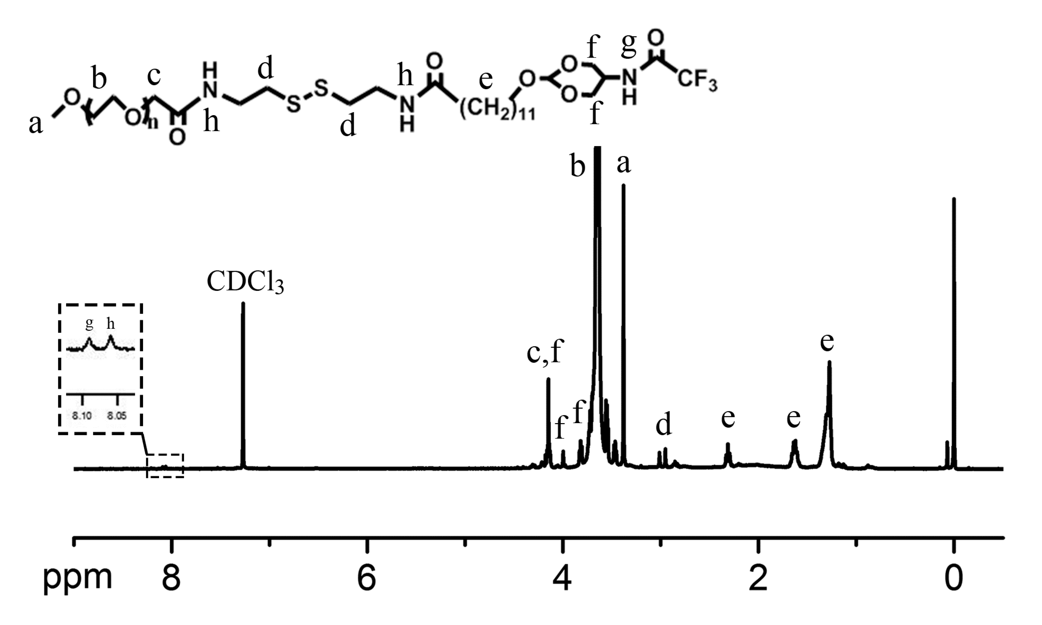 Pharmaceutics 13 01464 g002