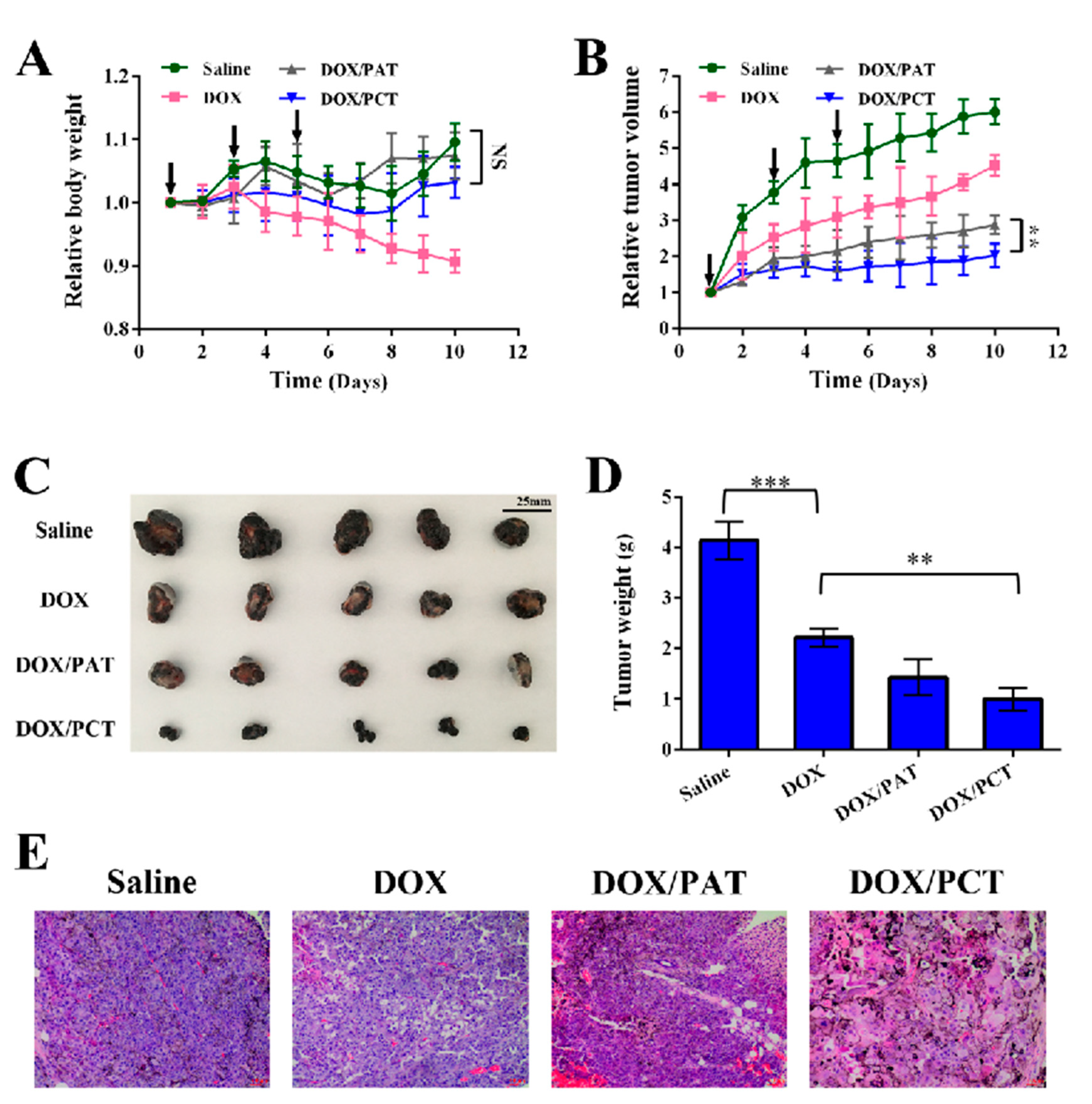 Pharmaceutics 13 01464 g008