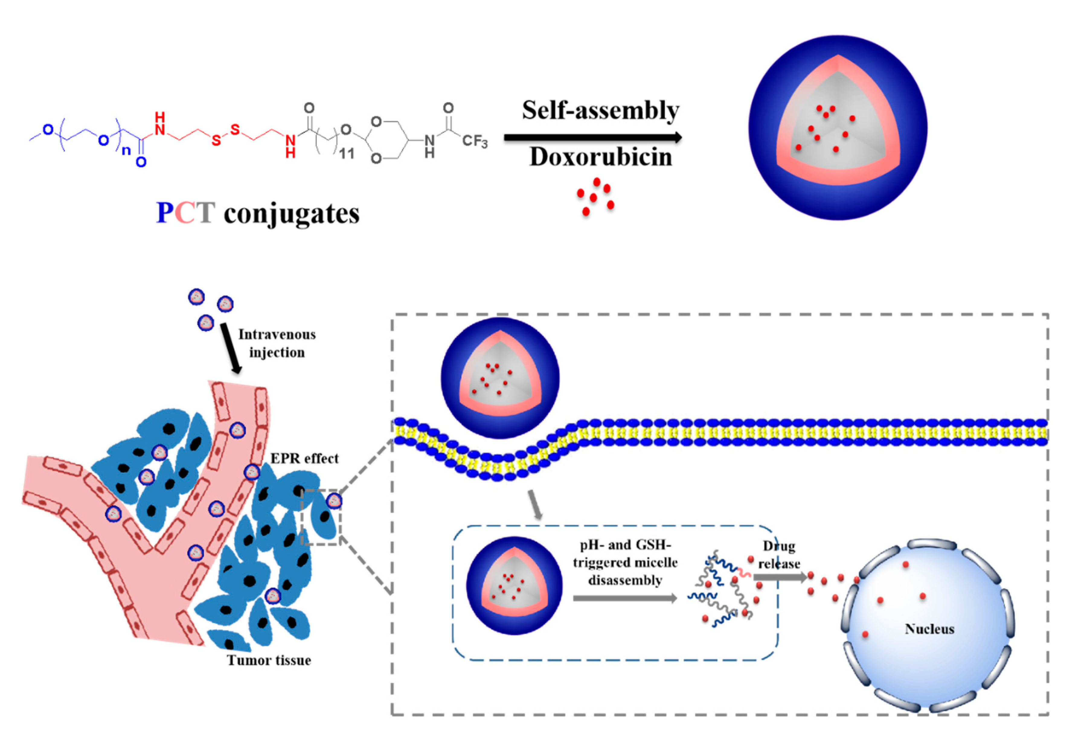 Pharmaceutics 13 01464 sch001