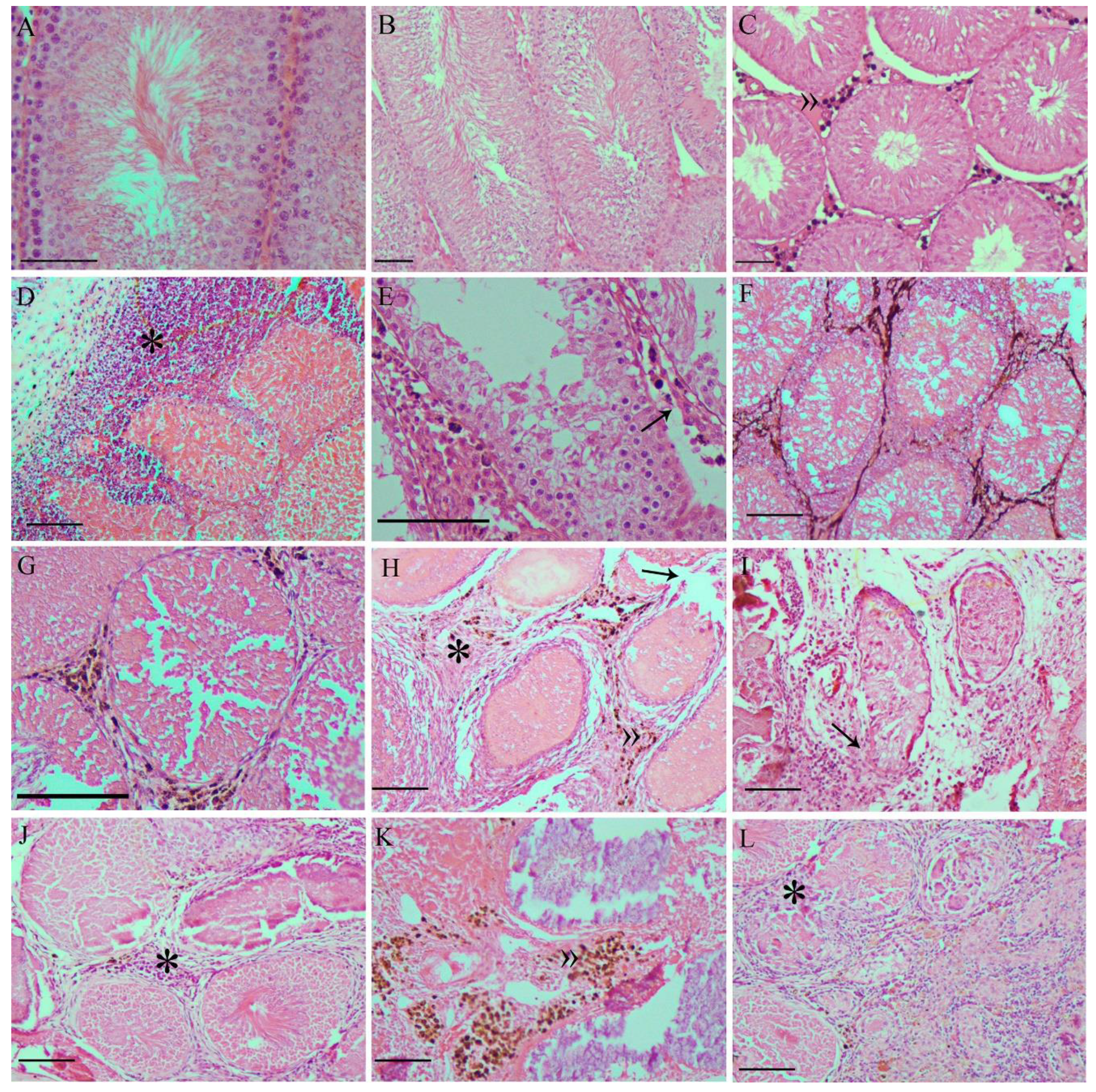 Pharmaceutics 13 01465 g006