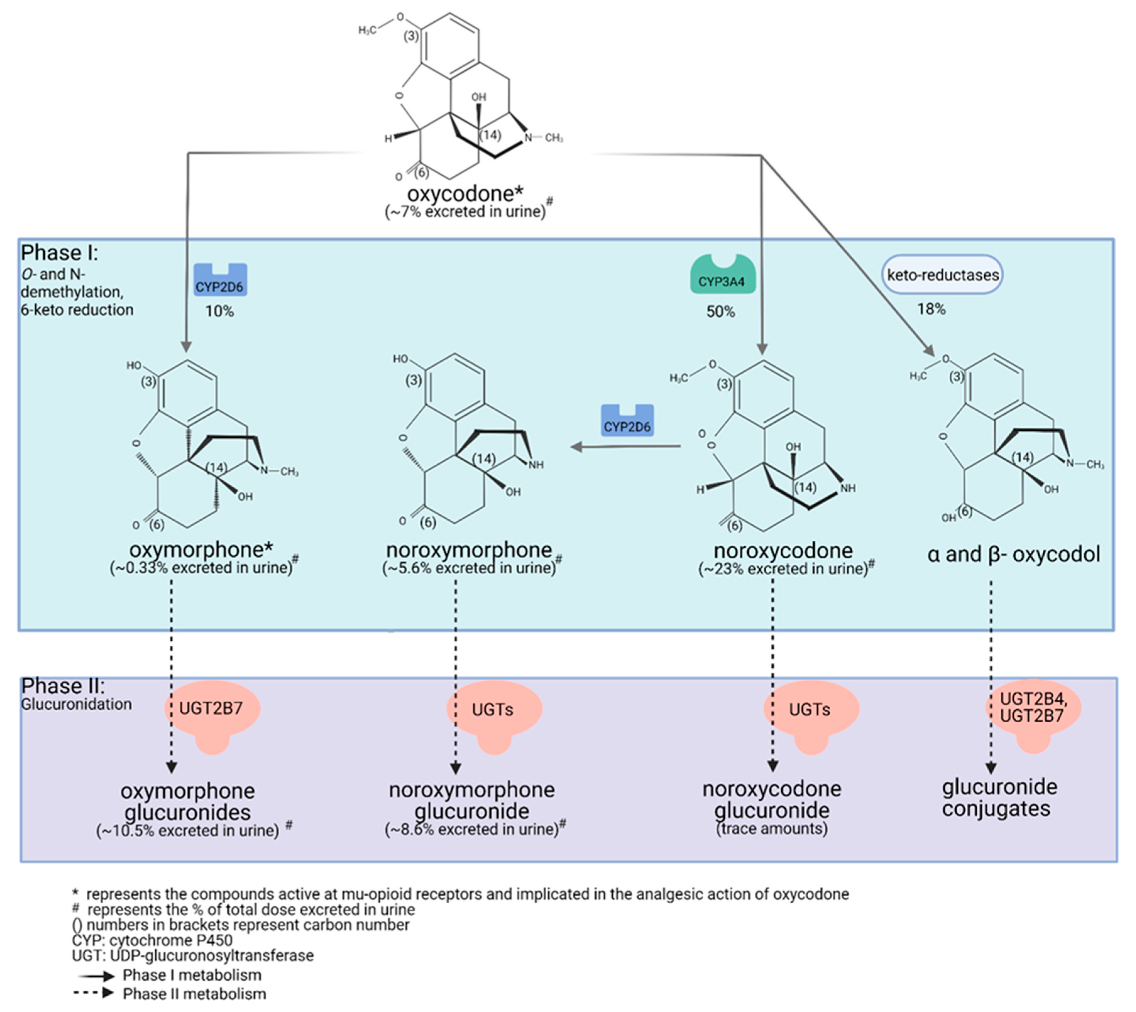Pharmaceutics 13 01466 g001