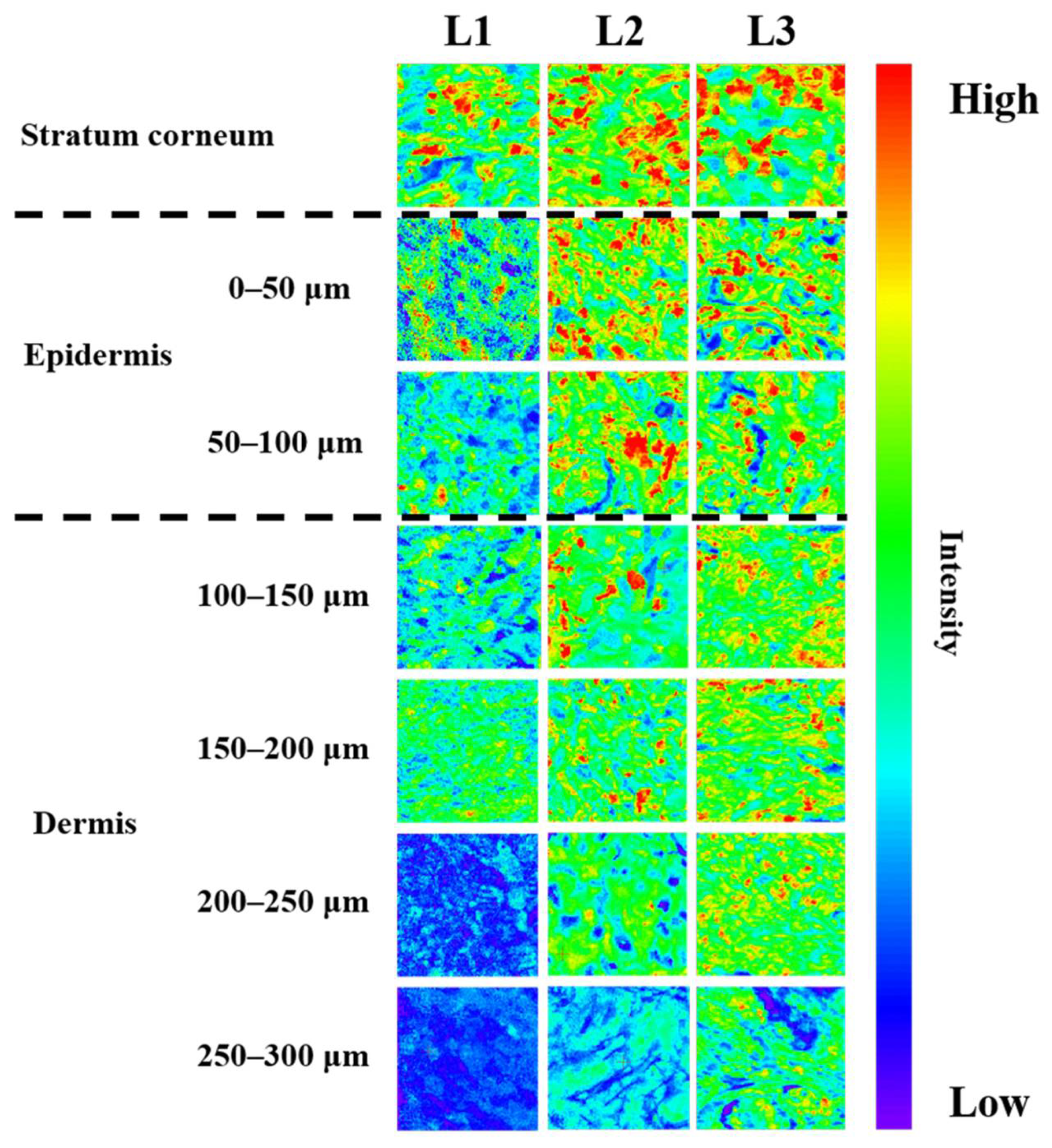 Pharmaceutics 13 01468 g006