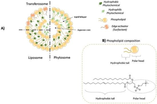 Pharmaceutics 13 01475 g004