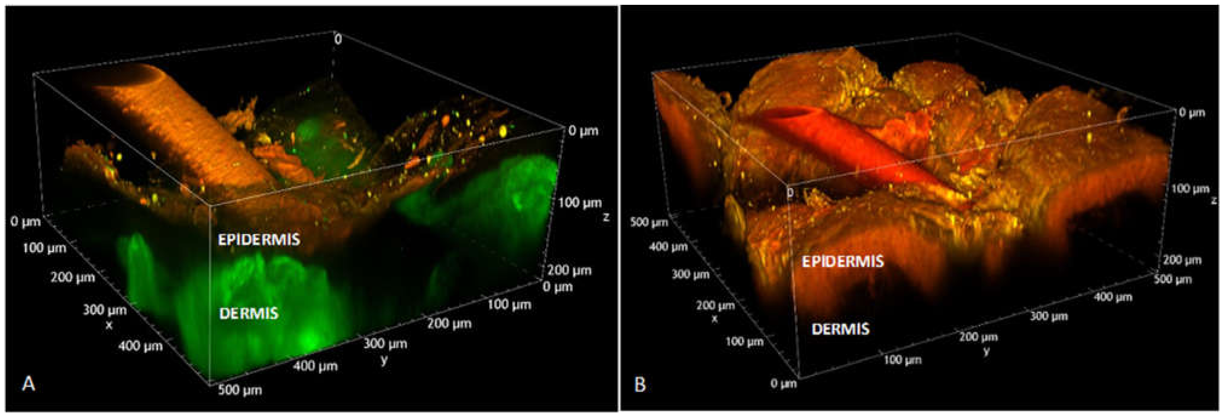 Pharmaceutics 13 01476 g006
