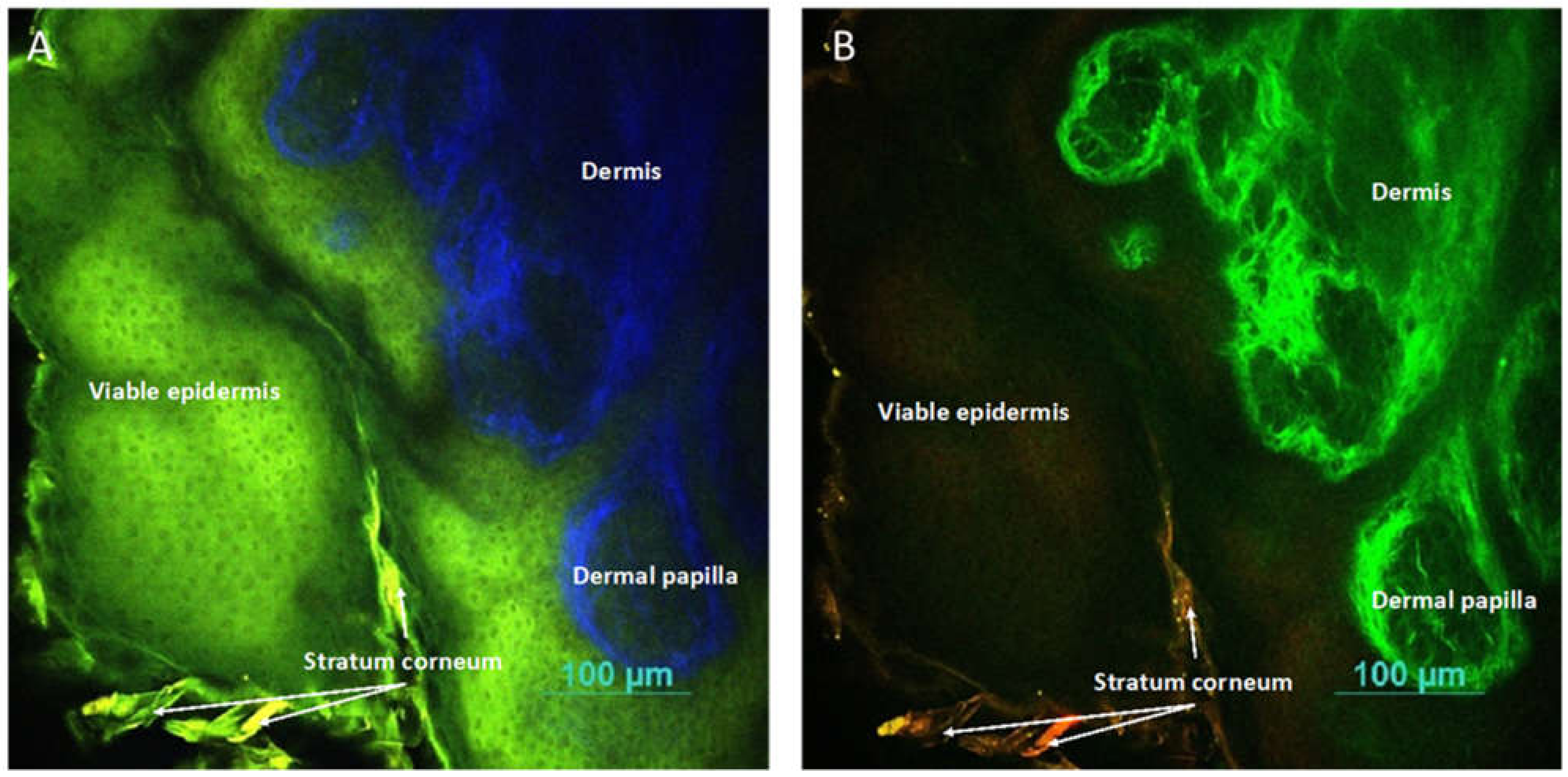 Pharmaceutics 13 01476 g0a2