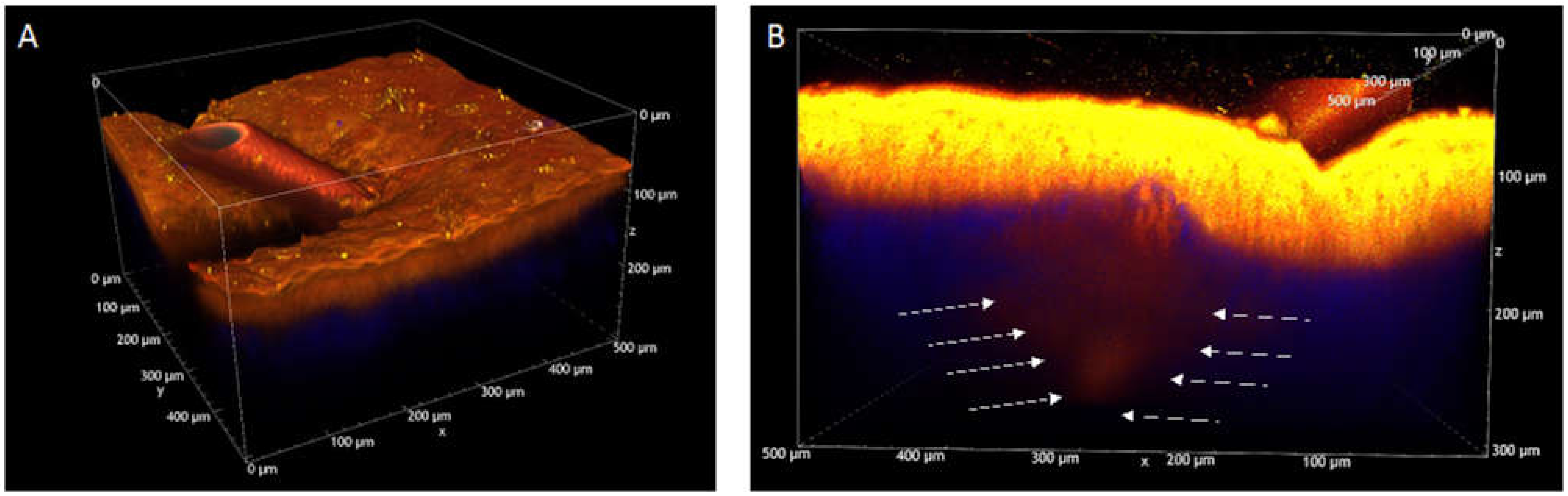 Pharmaceutics 13 01476 g0a3