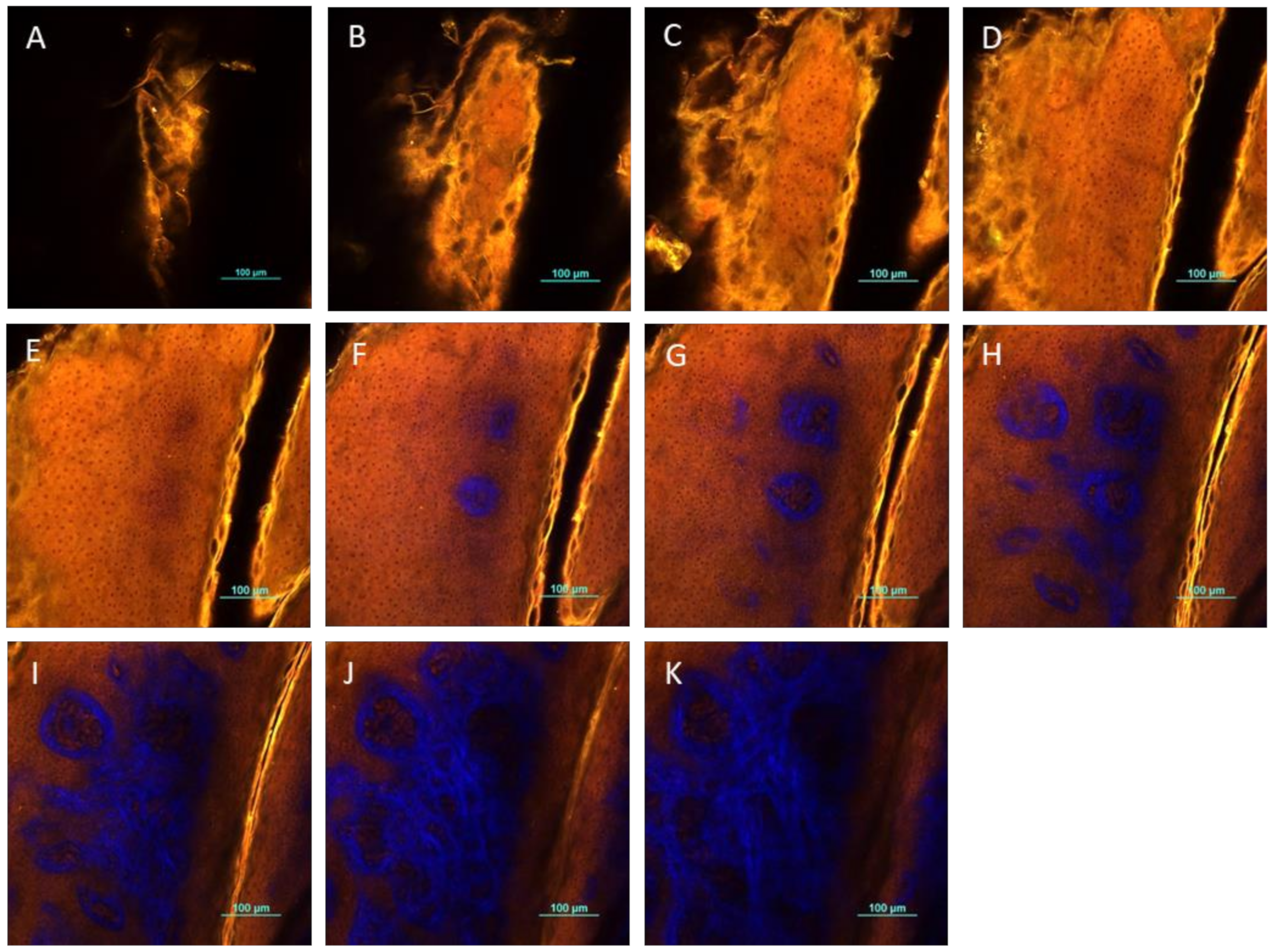 Pharmaceutics 13 01476 g0a4