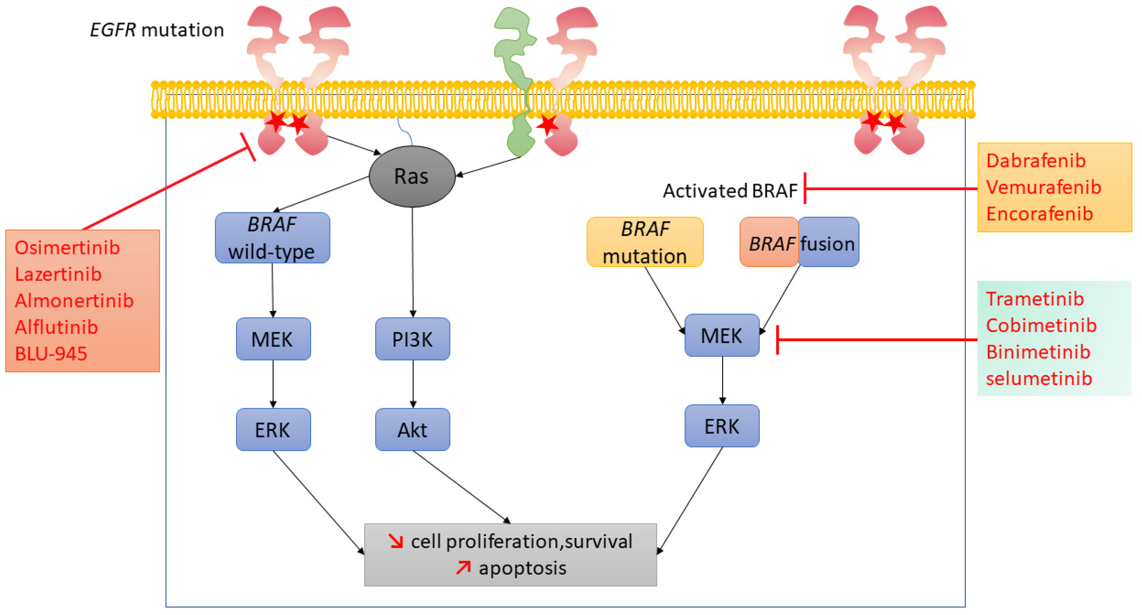 Pharmaceutics 13 01478 g001