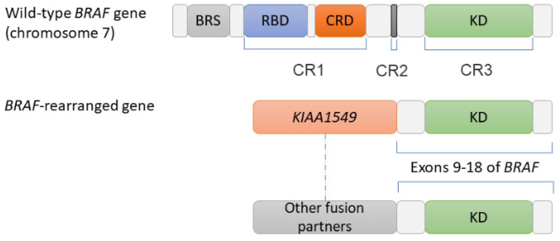 Pharmaceutics 13 01478 g002