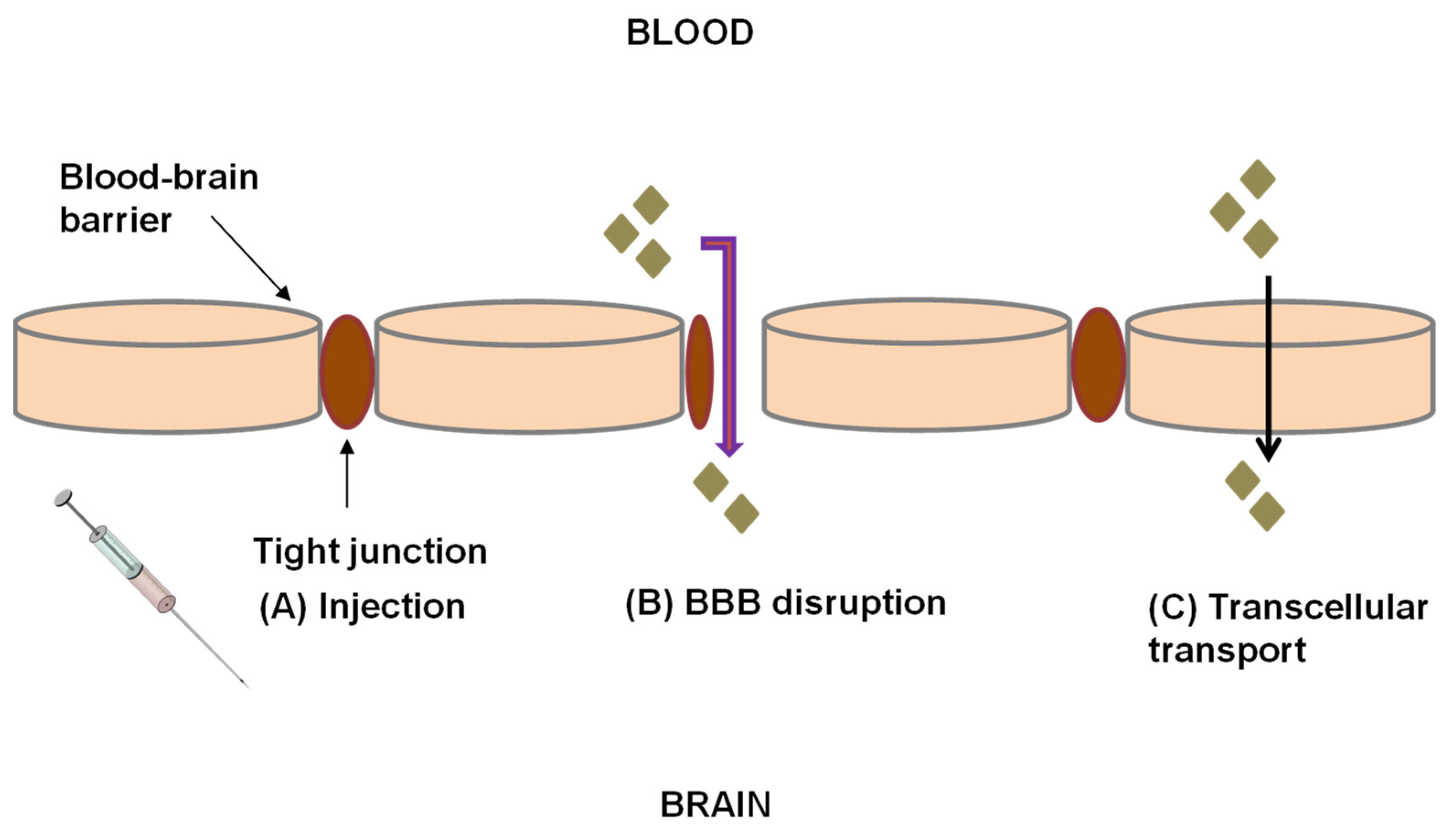 Pharmaceutics 13 01479 g001