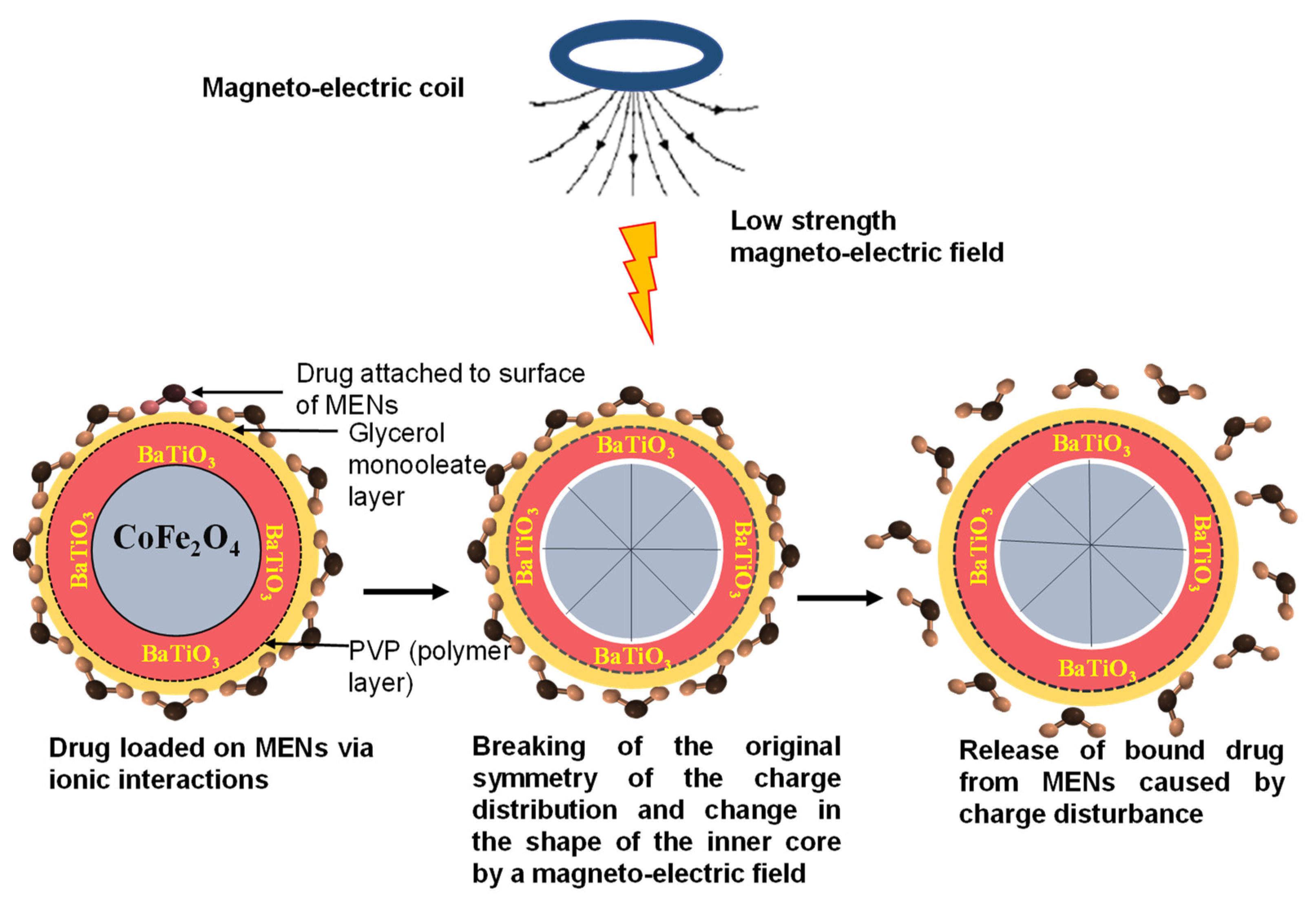 Pharmaceutics 13 01479 g003
