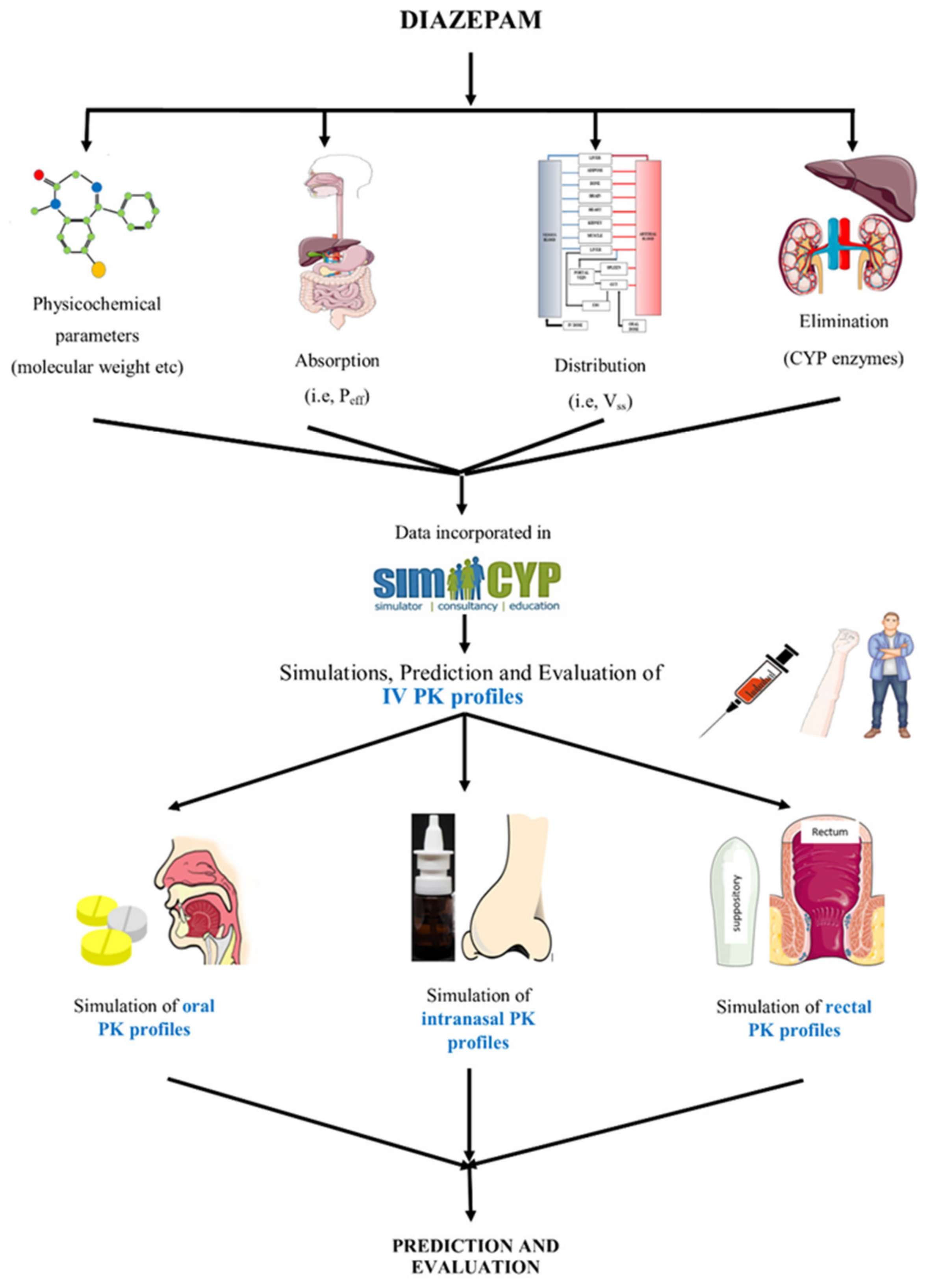 Pharmaceutics 13 01480 g001