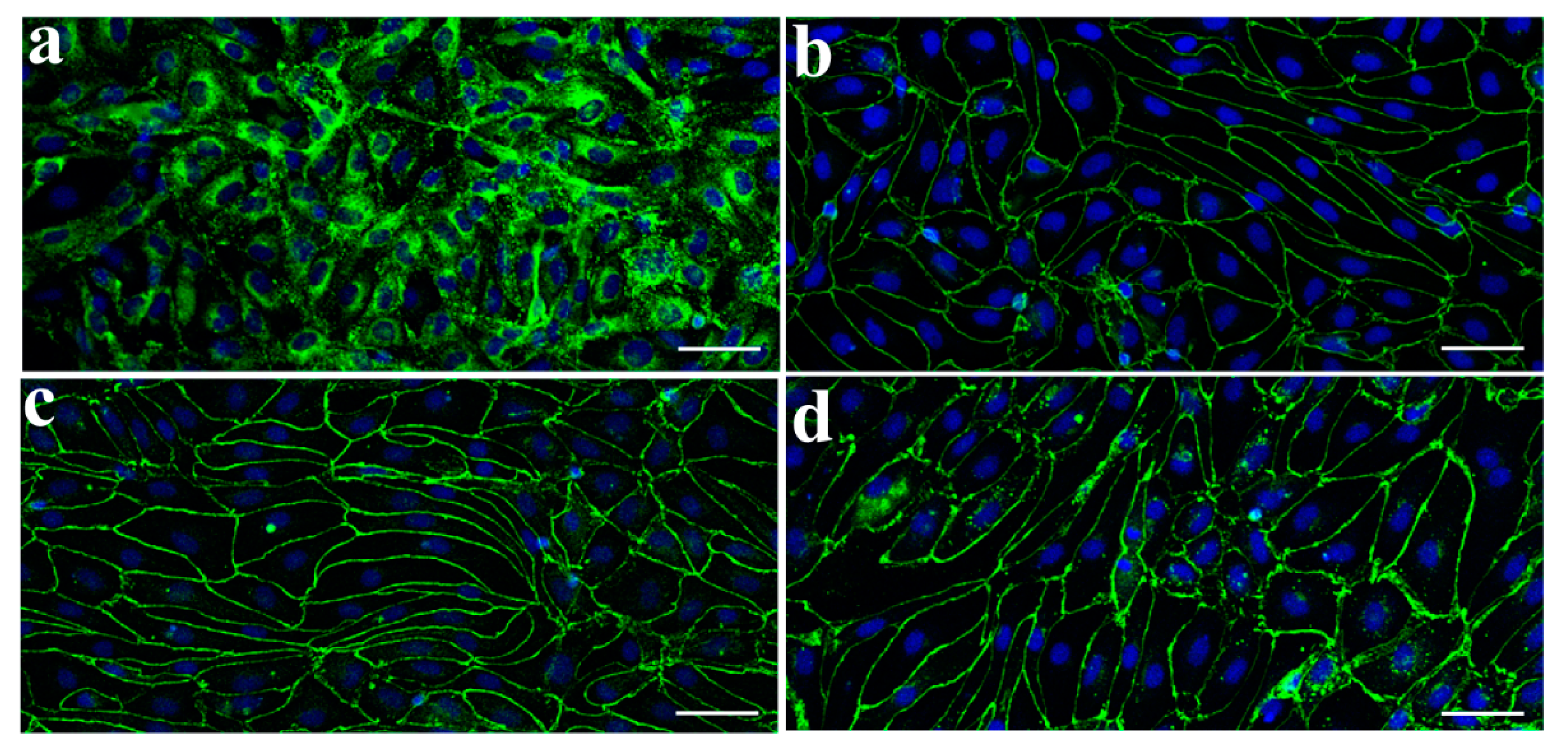 Pharmaceutics 13 01484 g001