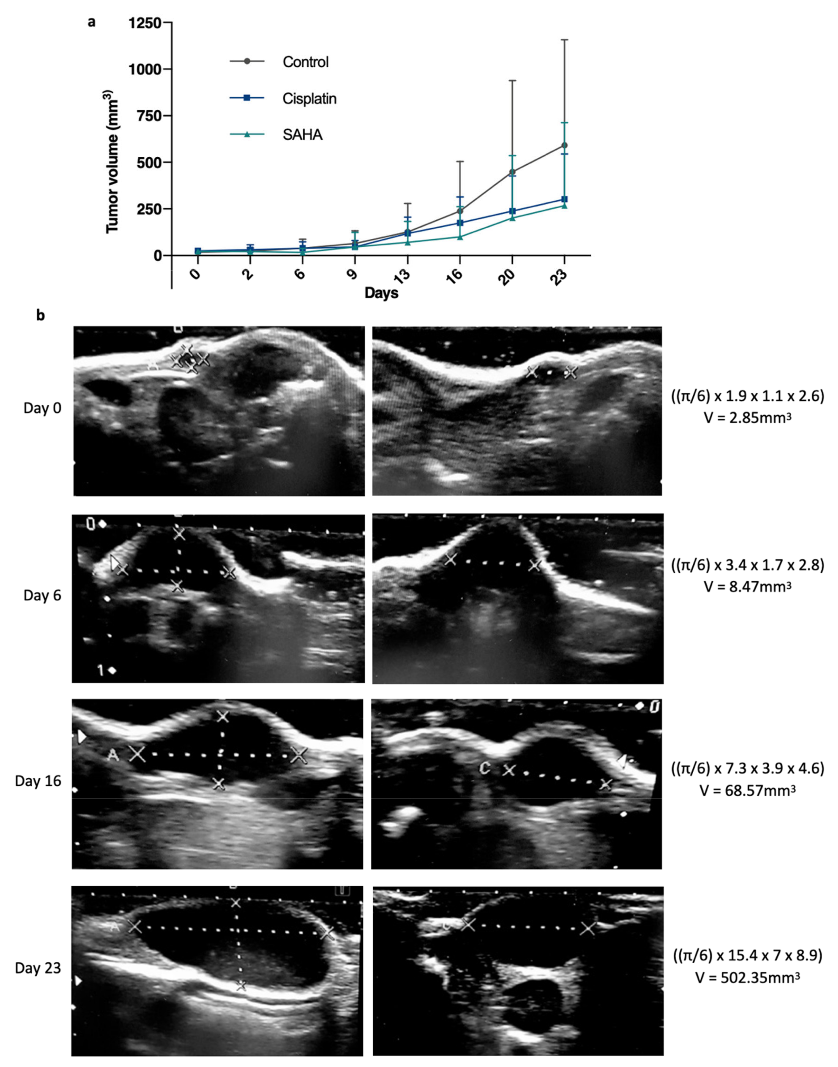 Pharmaceutics 13 01485 g002
