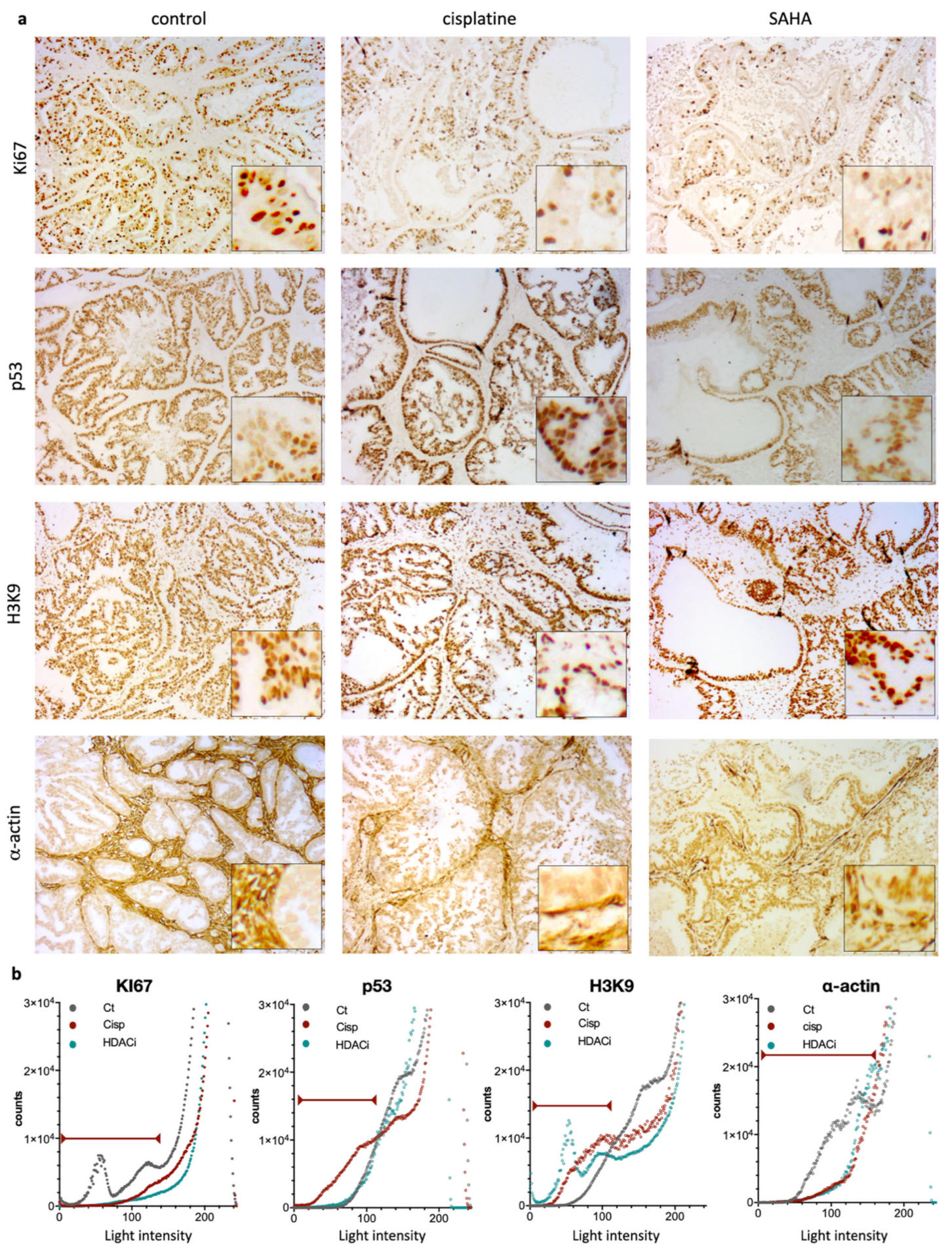 Pharmaceutics 13 01485 g005