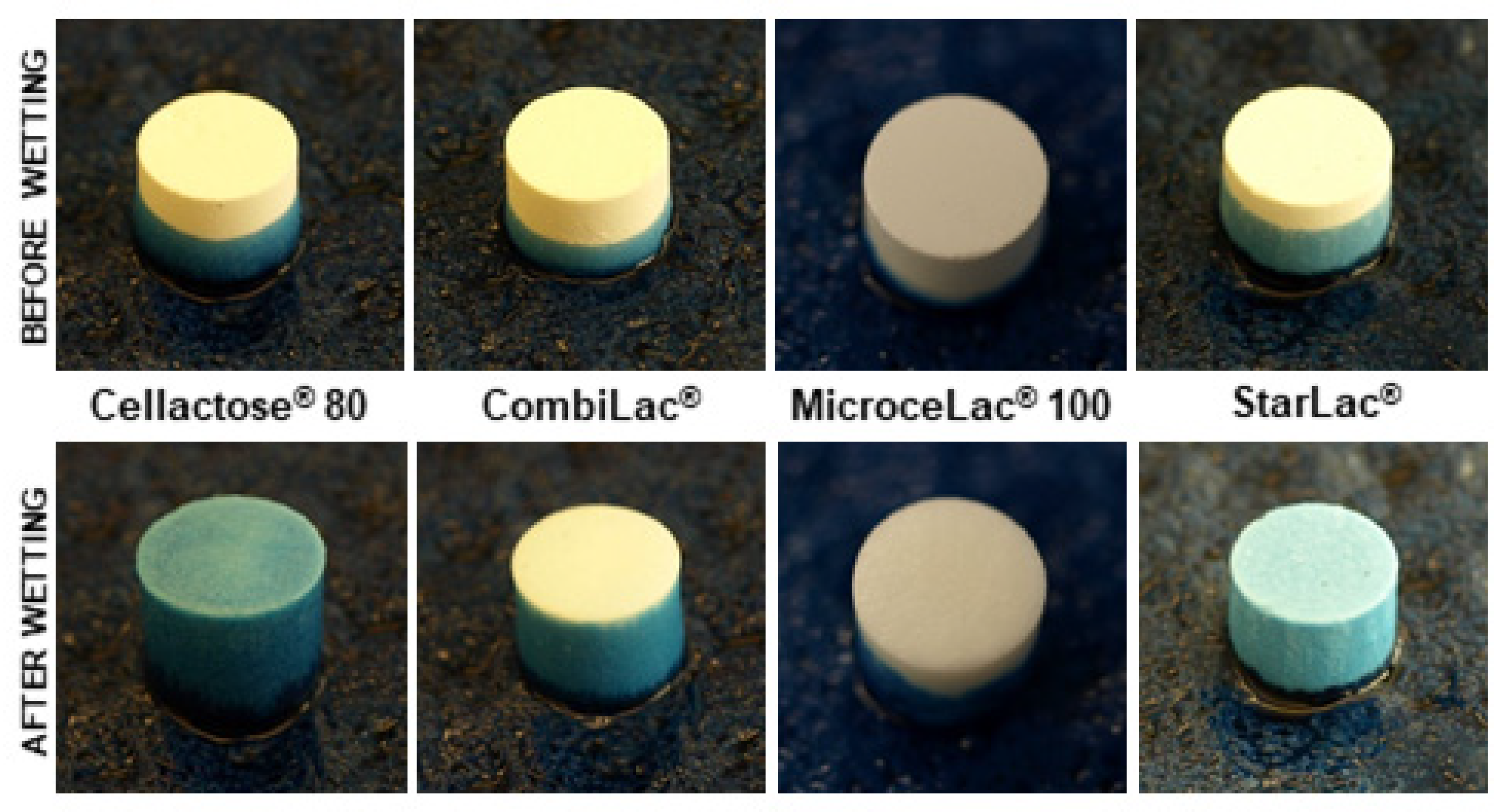 Pharmaceutics 13 01486 g008