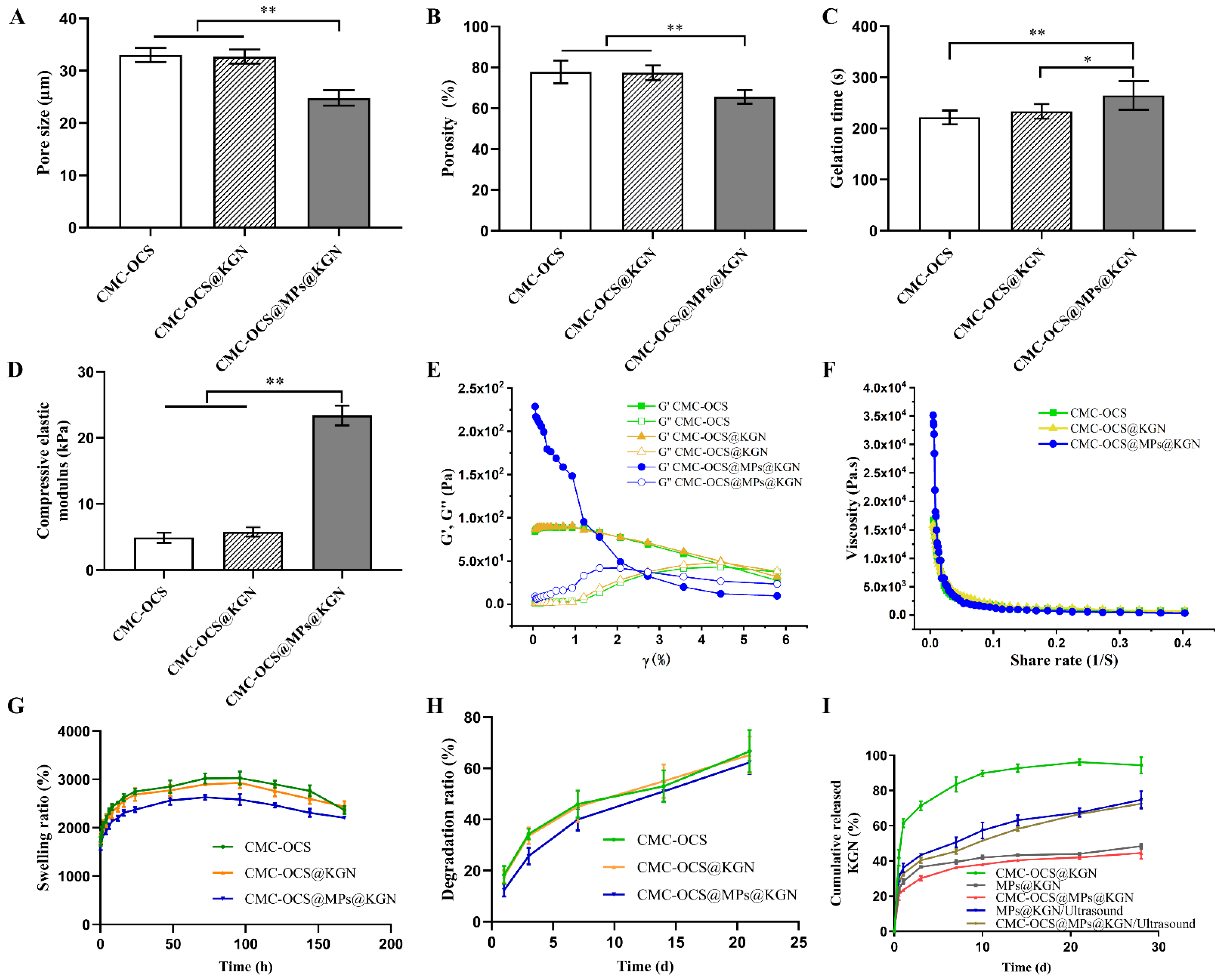 Pharmaceutics 13 01487 g004