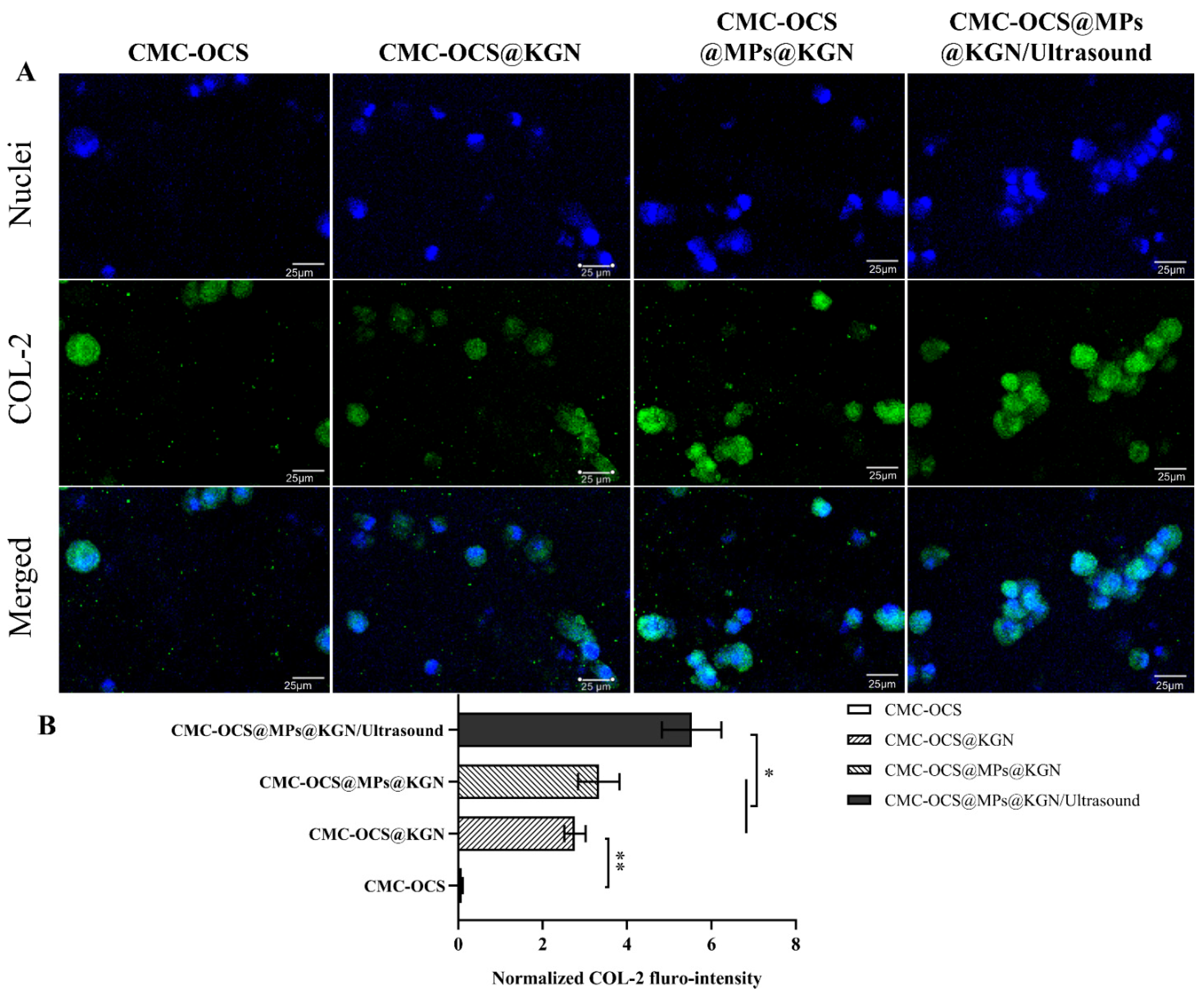 Pharmaceutics 13 01487 g006