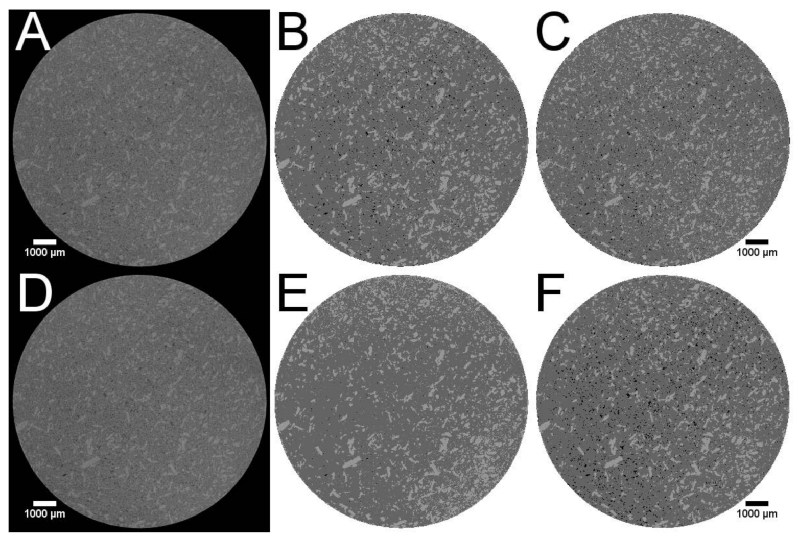 Pharmaceutics 13 01488 g002