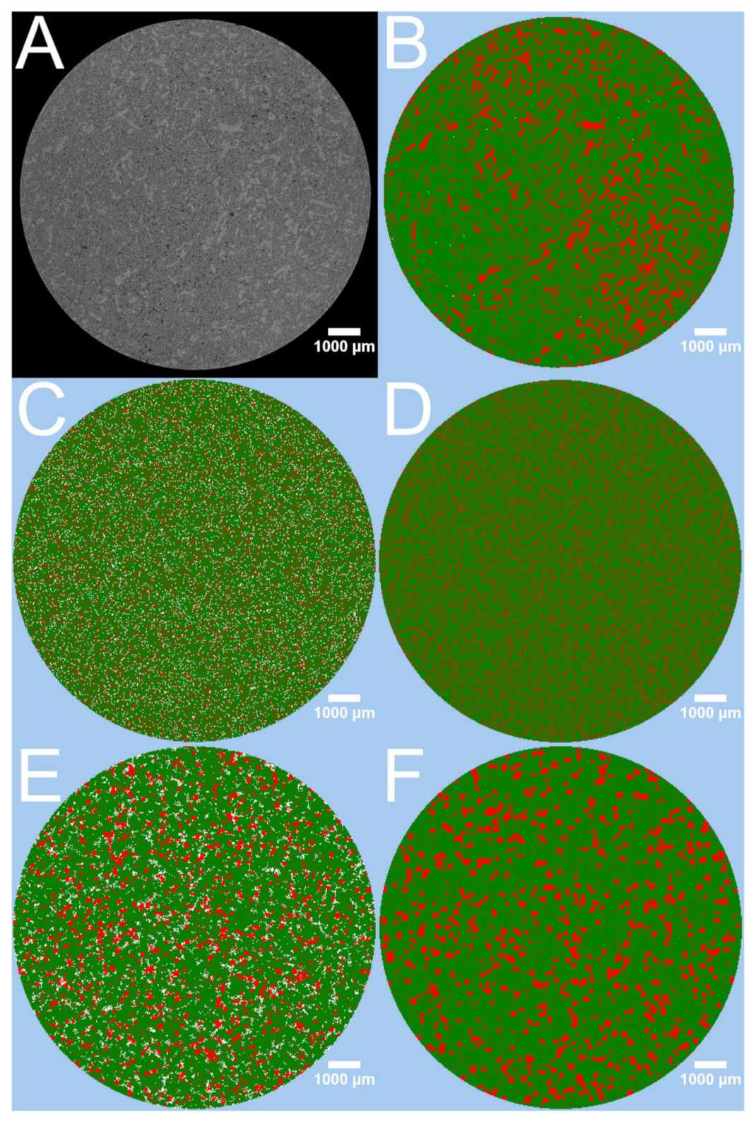 Pharmaceutics 13 01488 g003