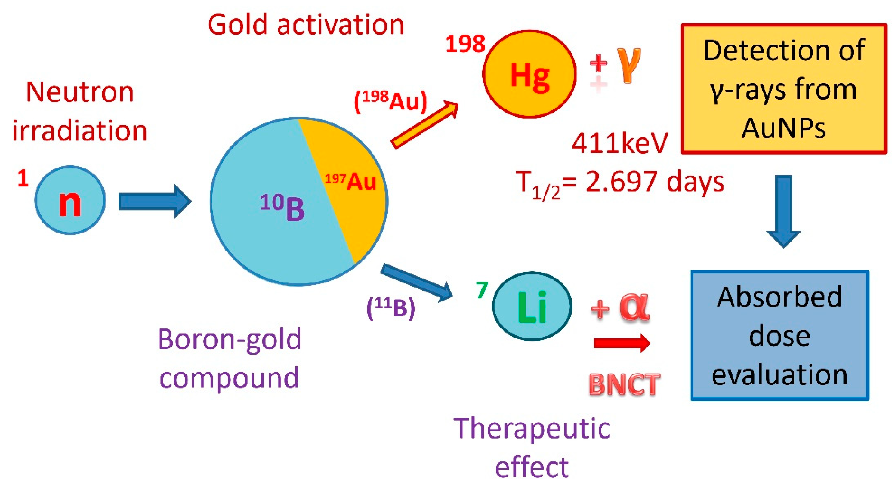Pharmaceutics 13 01490 g001