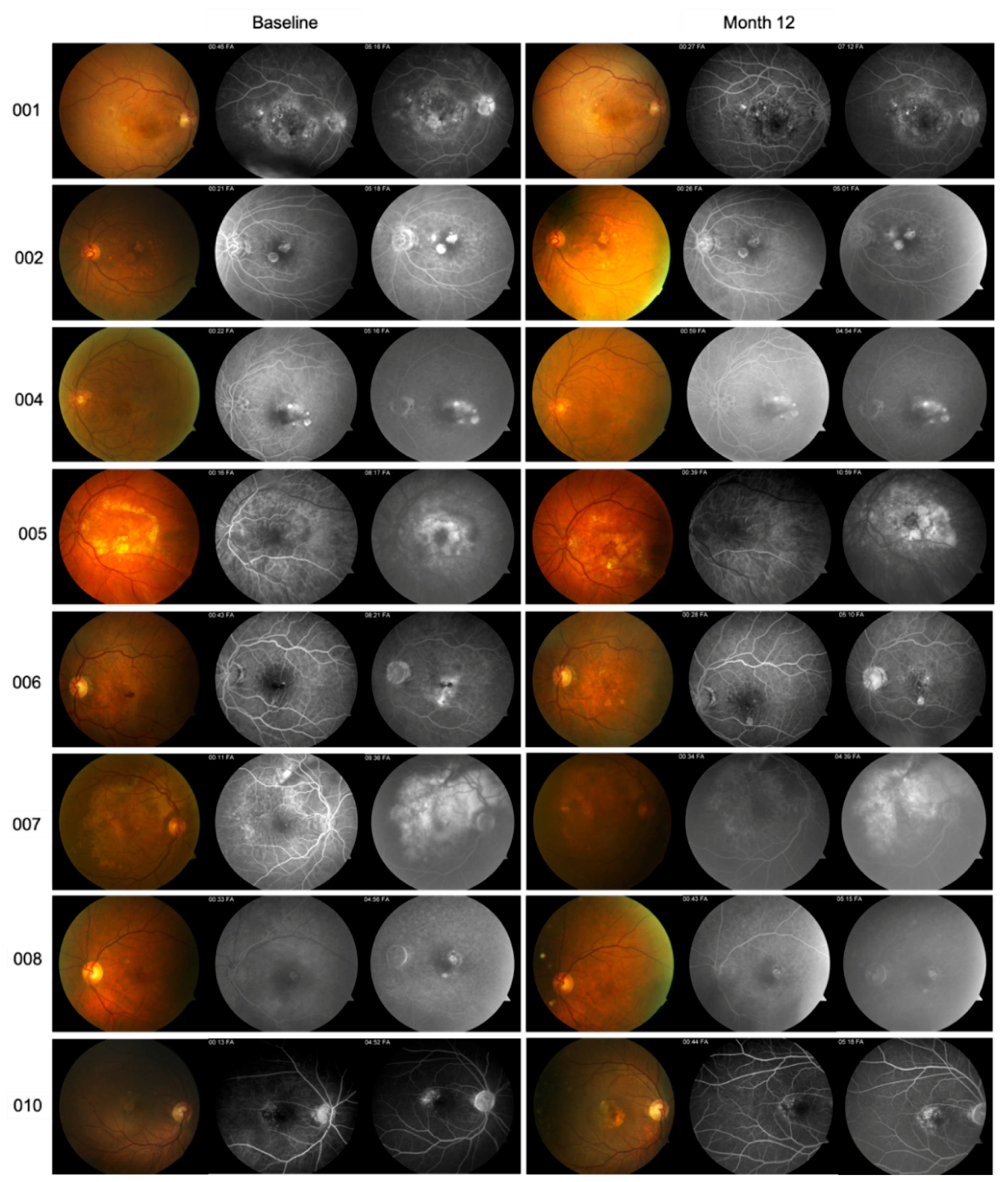Pharmaceutics 13 01491 g003