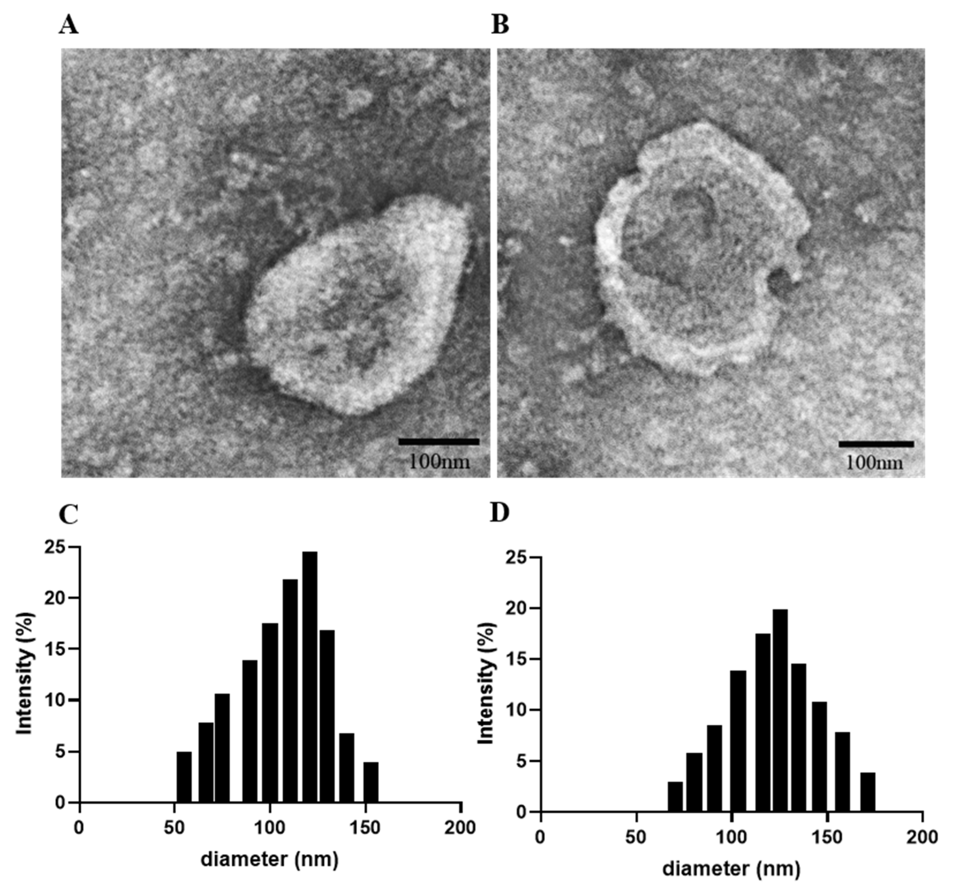 Pharmaceutics 13 01493 g001