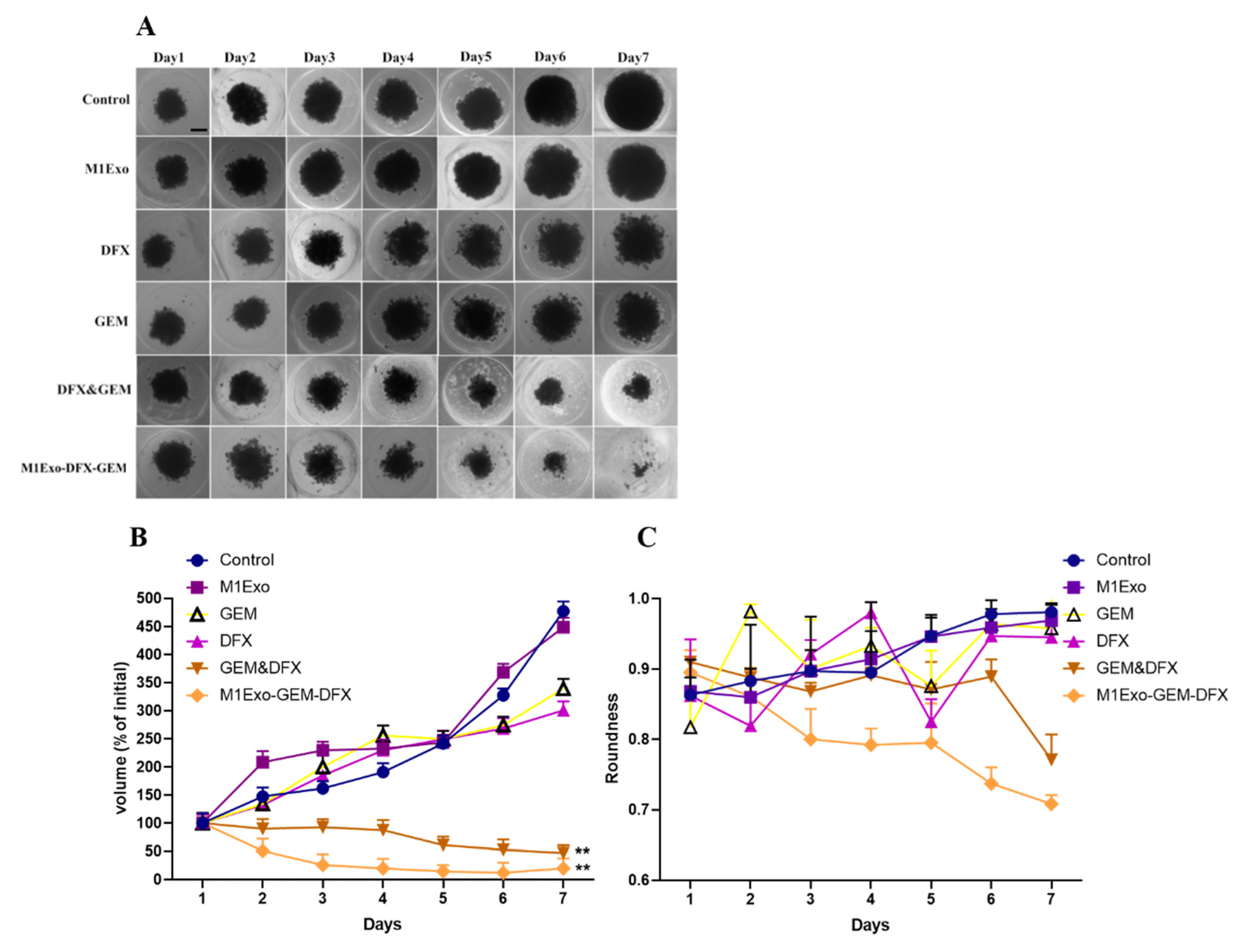 Pharmaceutics 13 01493 g006