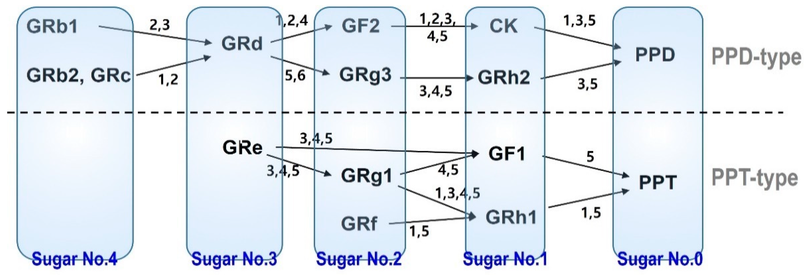 Pharmaceutics 13 01496 g001